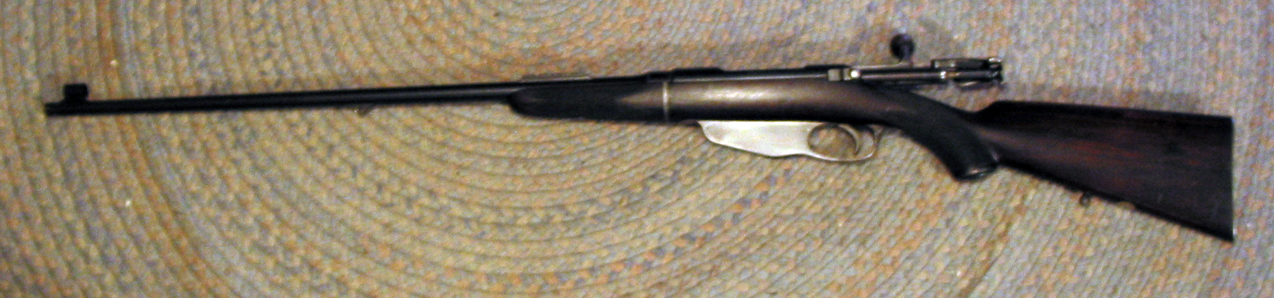 Gibbs 256 Left side.jpg