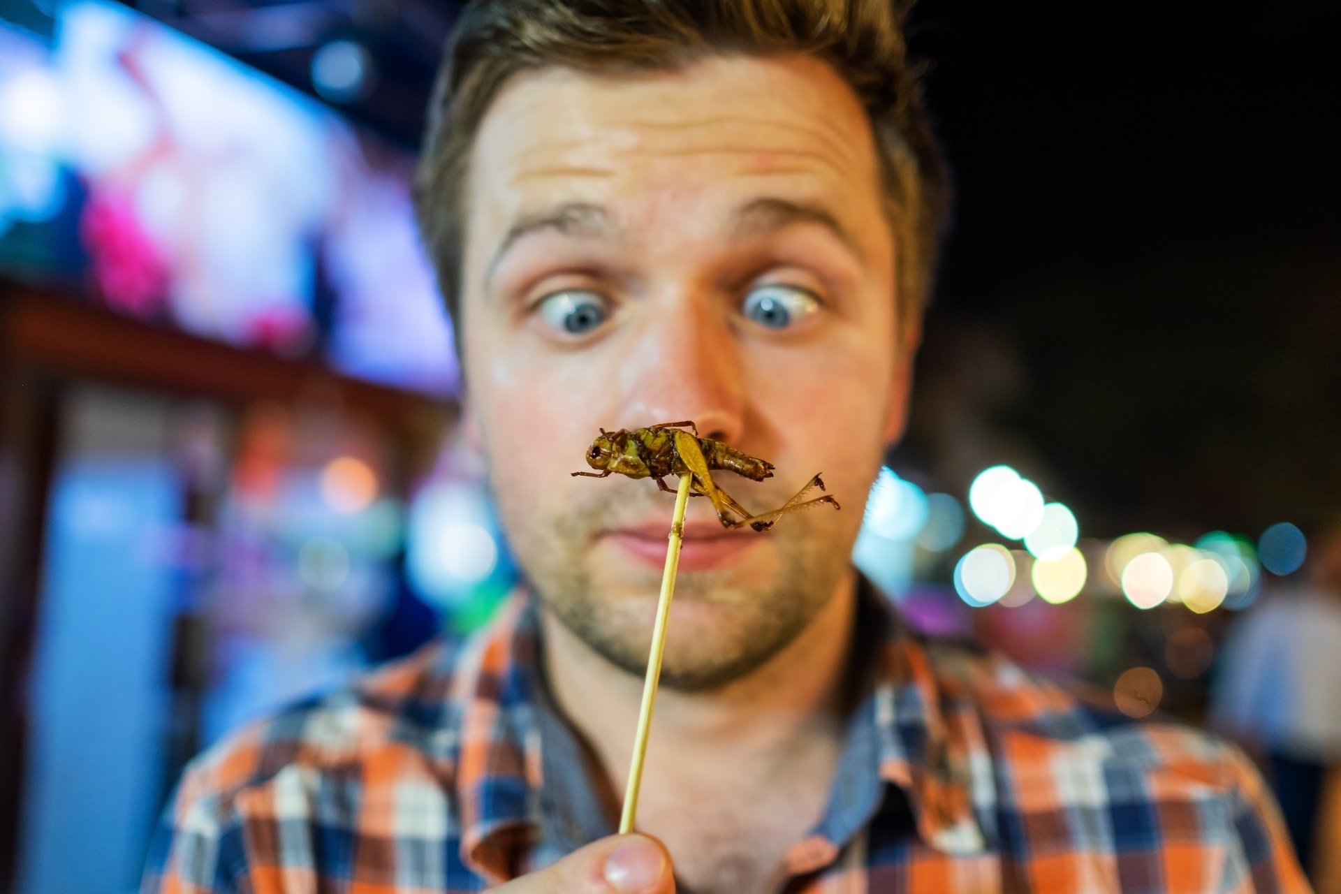 Grasshopper-on-stick-food.jpeg