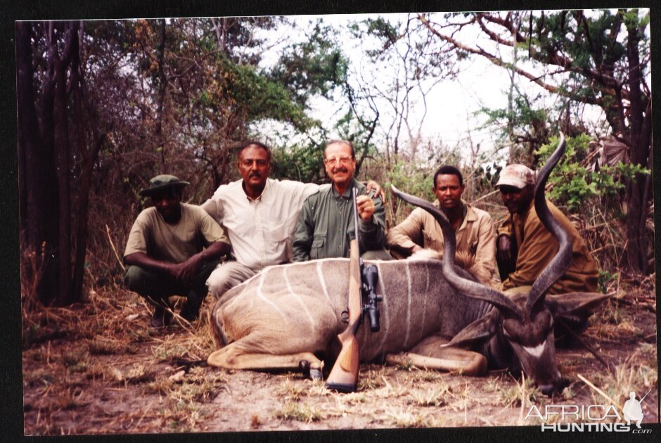 Greater Kudu 2.jpg