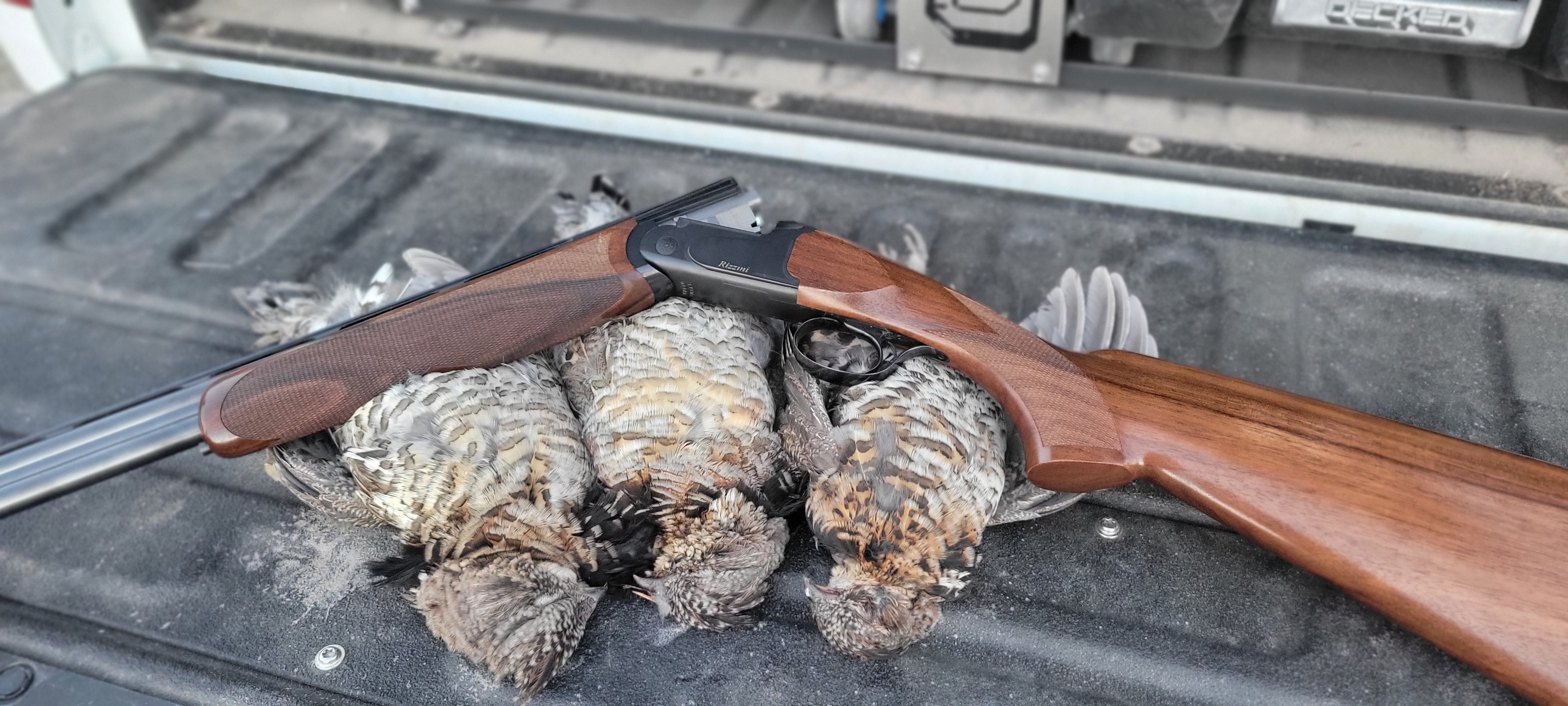 Grouse 24.jpg