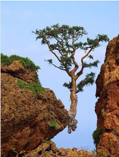hanging on.png