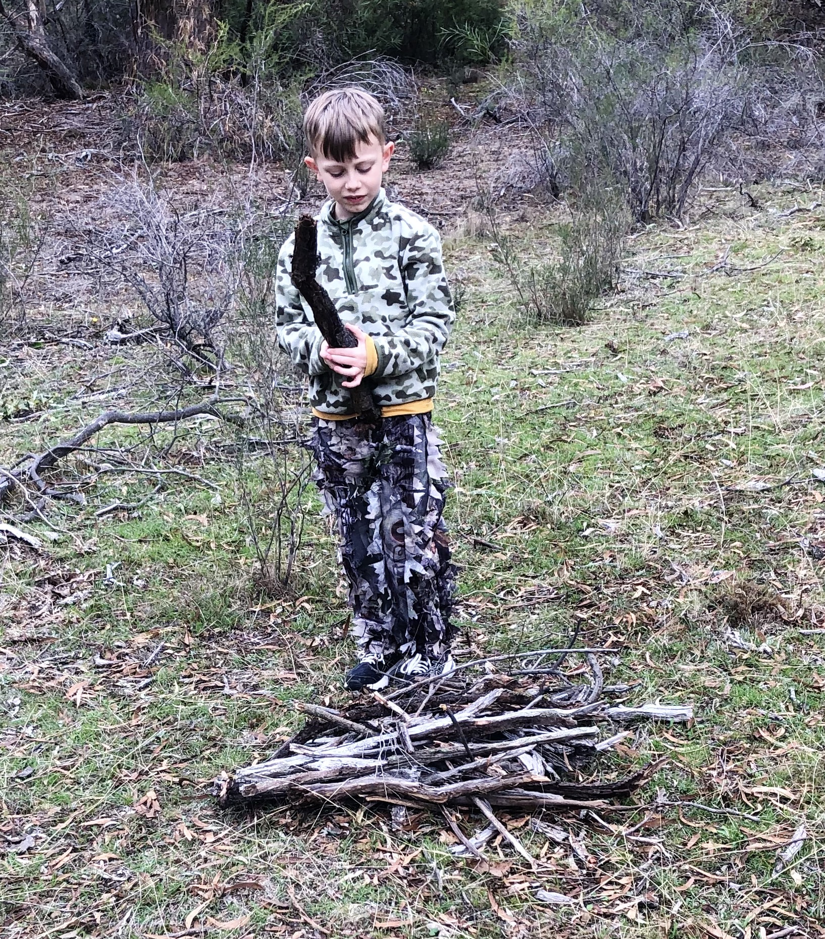 Harry & firewood.JPG