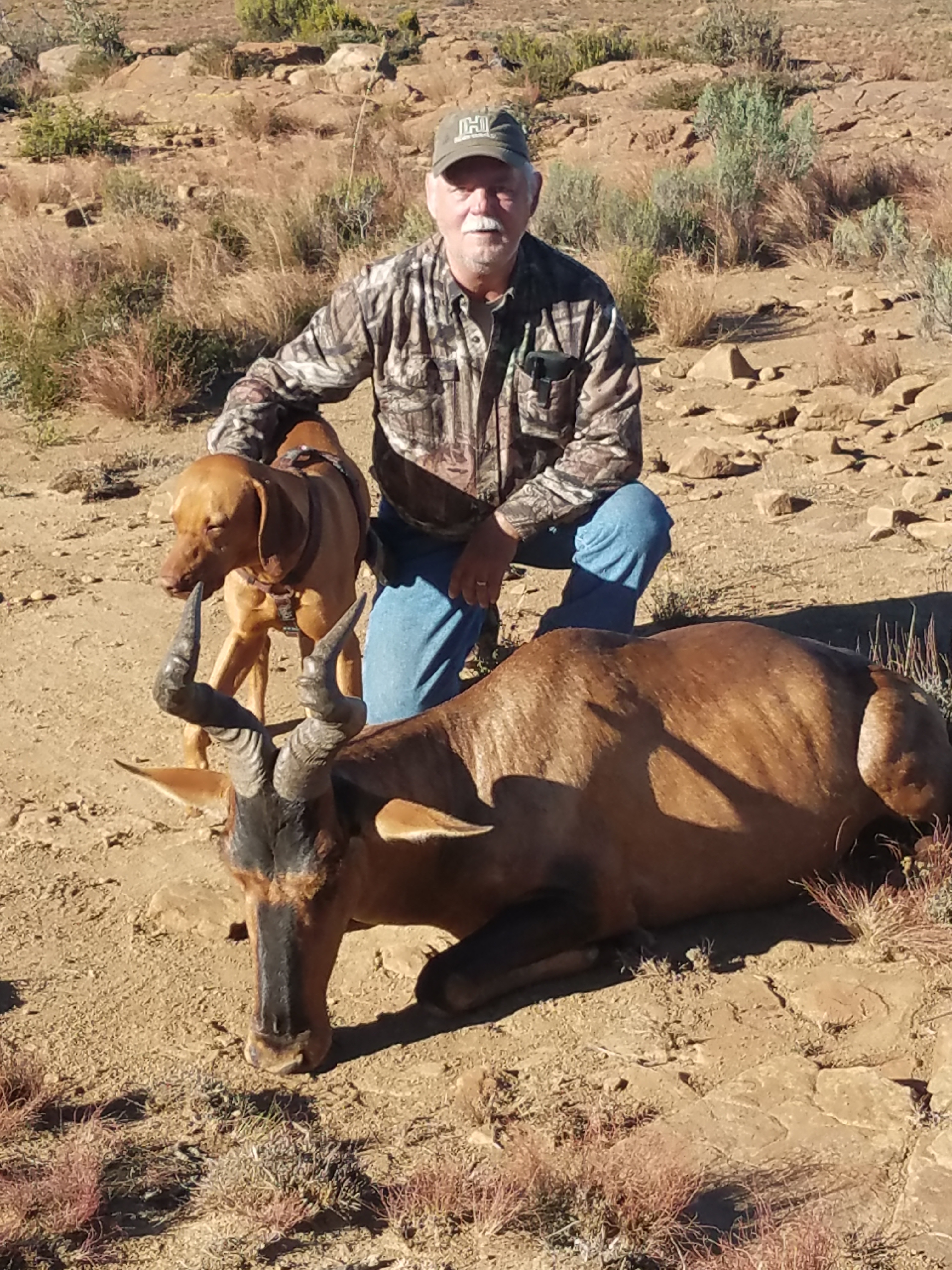 Hartebeest.jpg