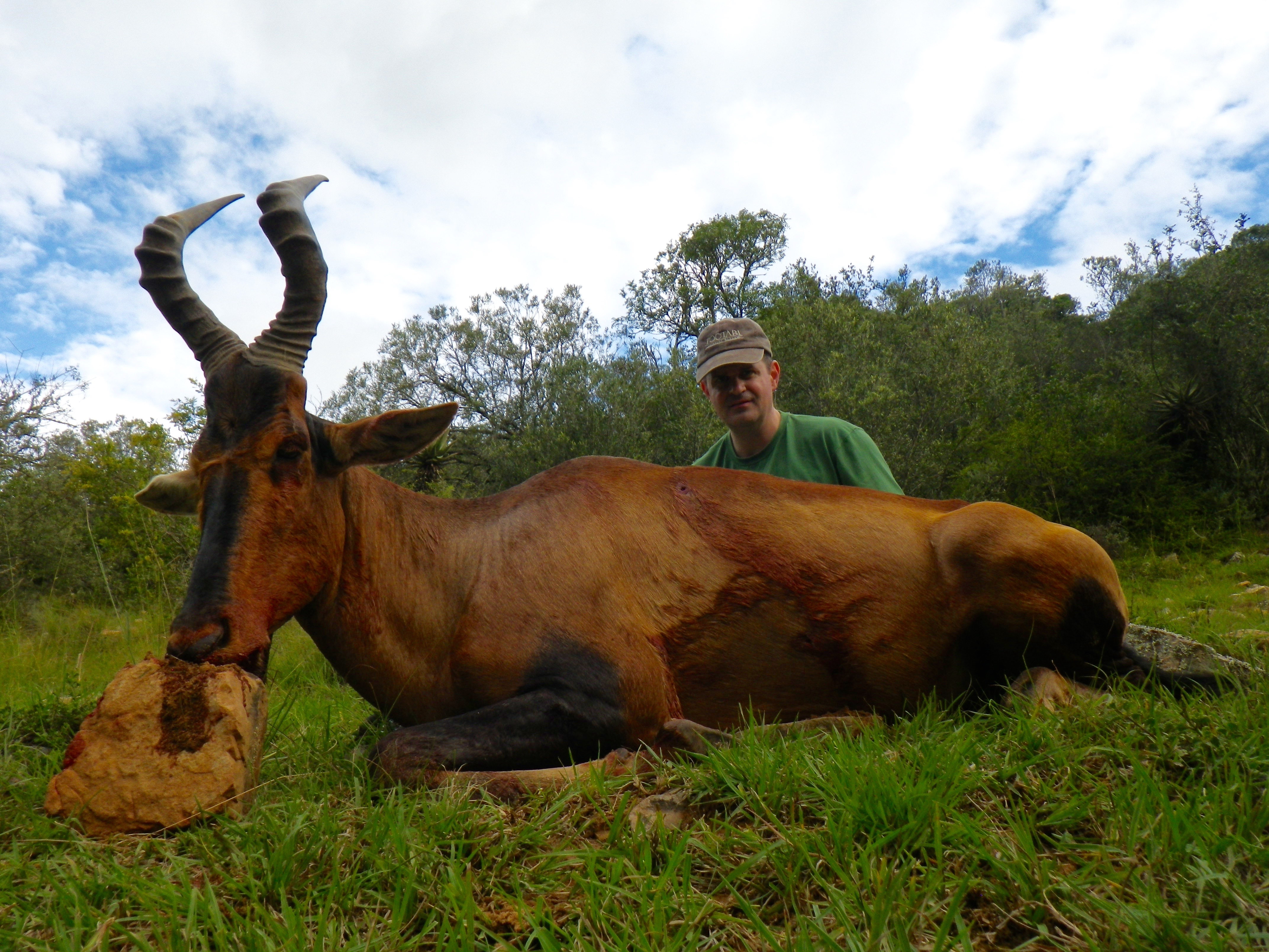 hartebeest.jpg