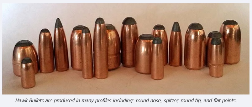 Hawk-bullets-pic.jpg