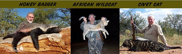 Warthog, Bushpig & Night Predator Hunting Package US$5,550  