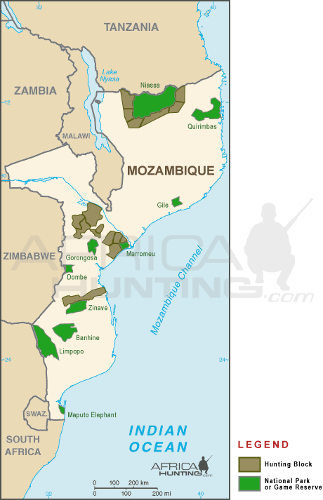 hunting_mozambique.gif