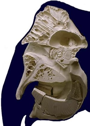 image0.jpeg