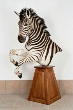image004.png