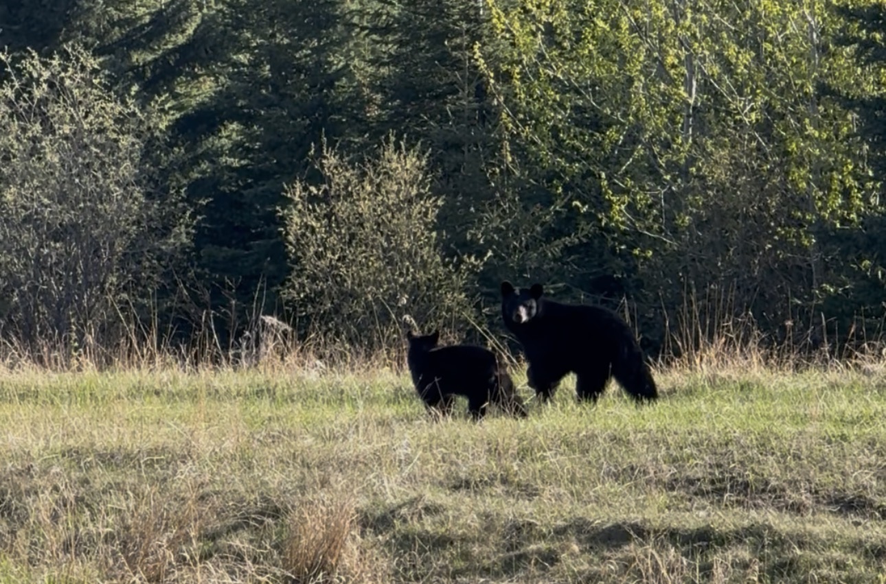 image11.jpeg
