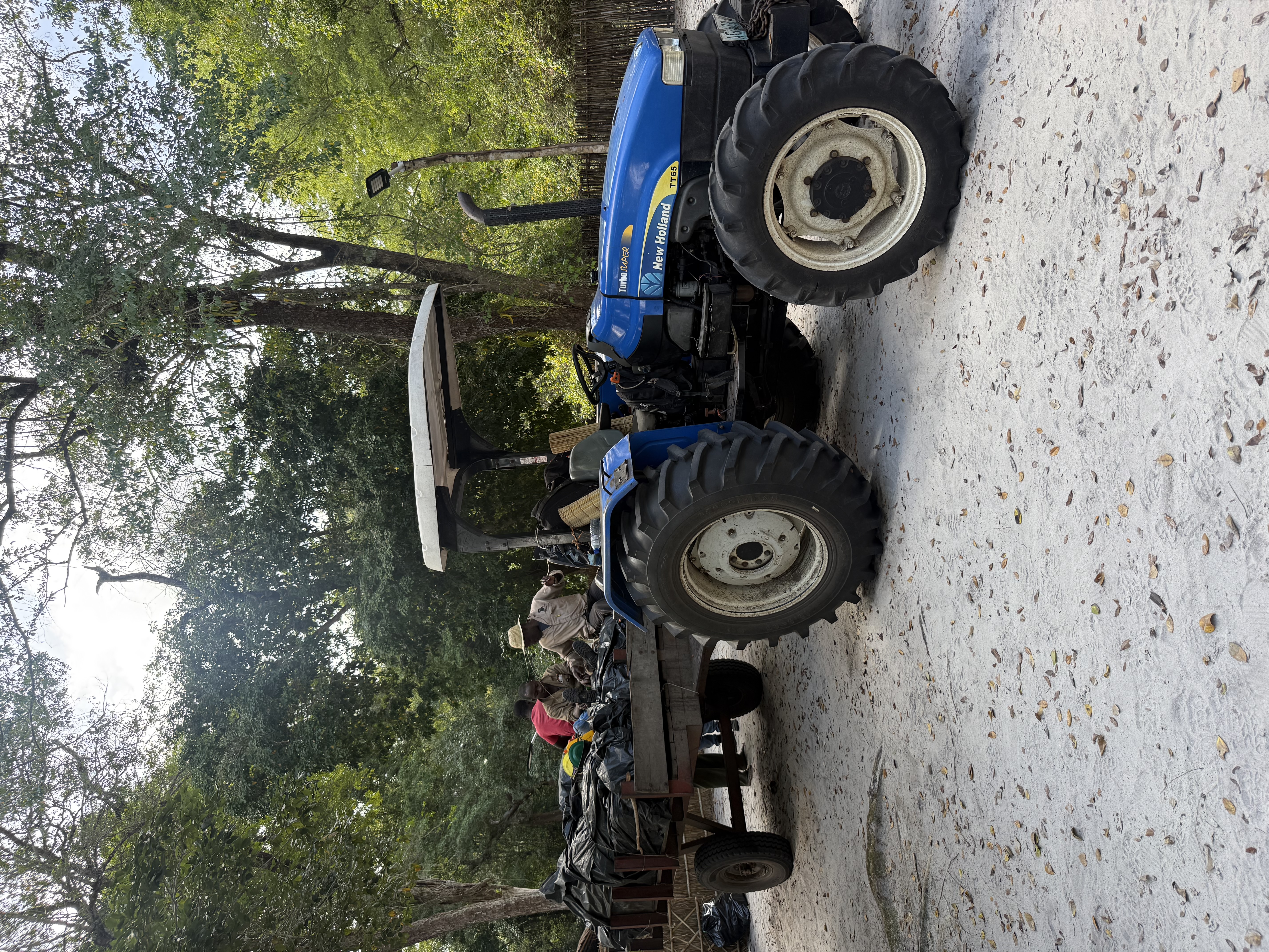 image14.jpeg