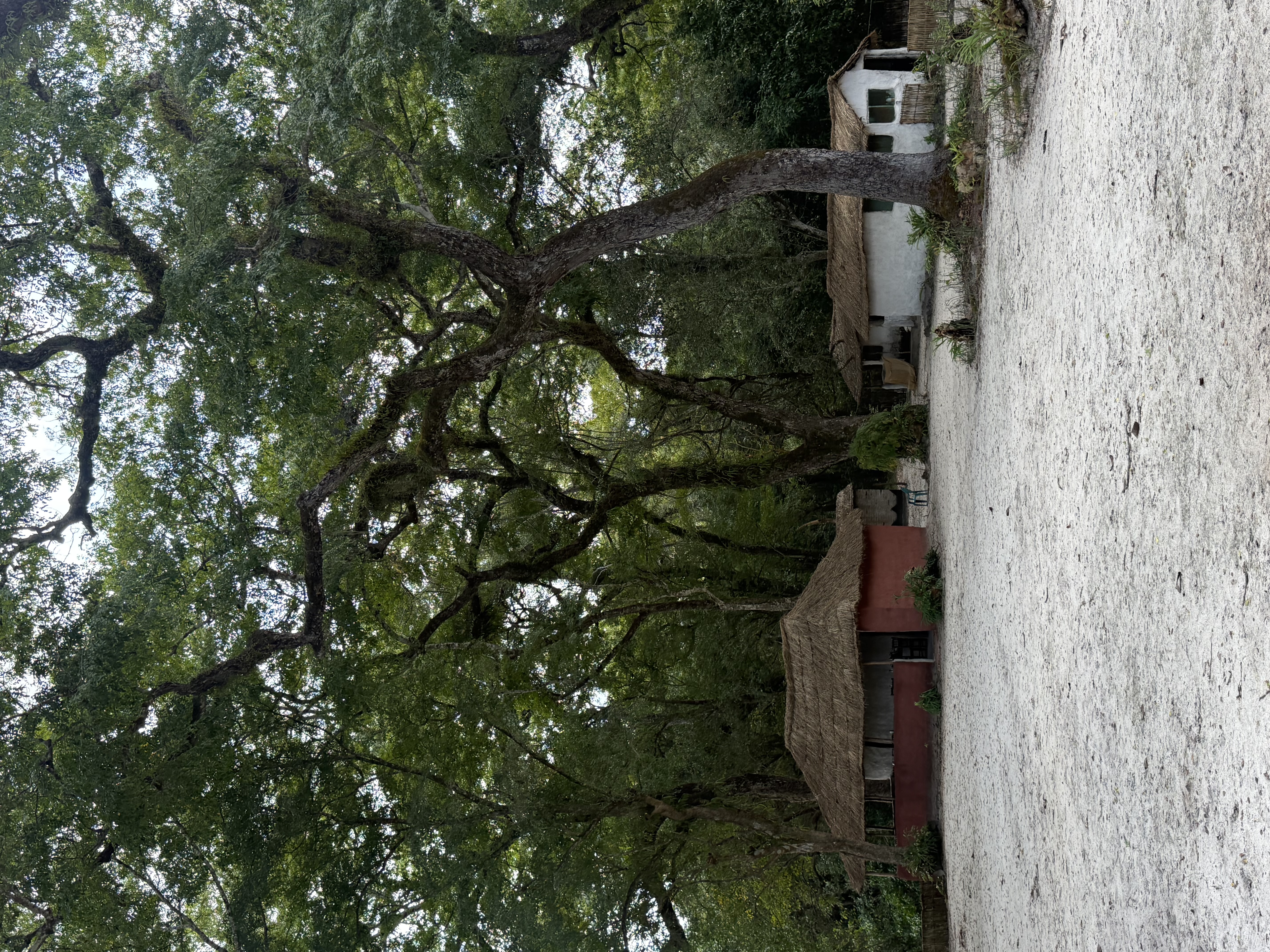 image15.jpeg