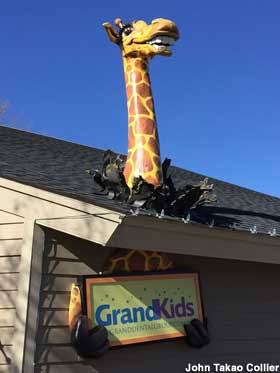 images (44).jpeg