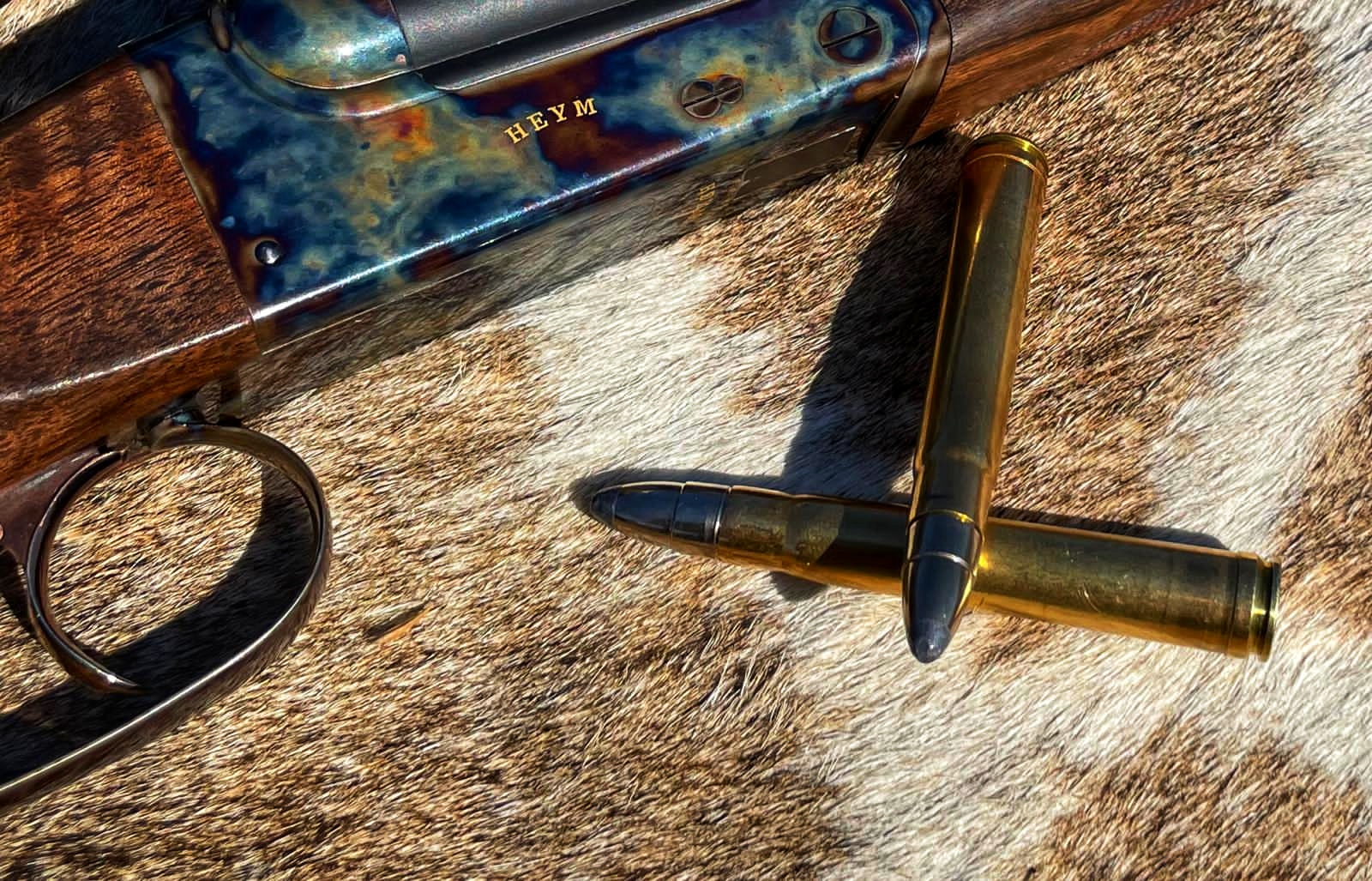 IMG-20220714-WA0051-01 (1).jpeg