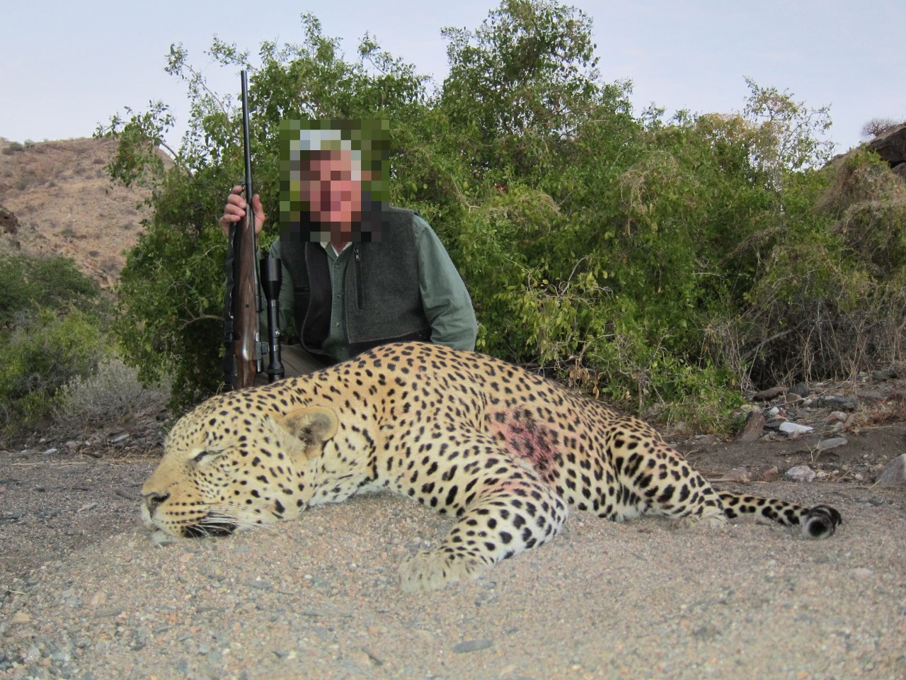 IMG-20241115-WA0003.jpg IMG-20241115-WA0003.jpg