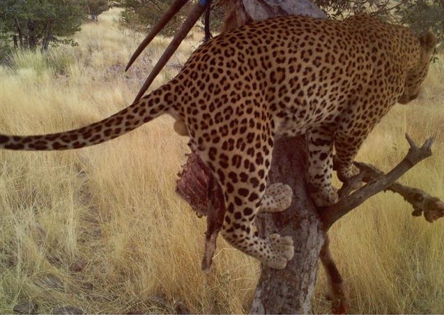 IMG-20241115-WA0005.jpg IMG-20241115-WA0005.jpg