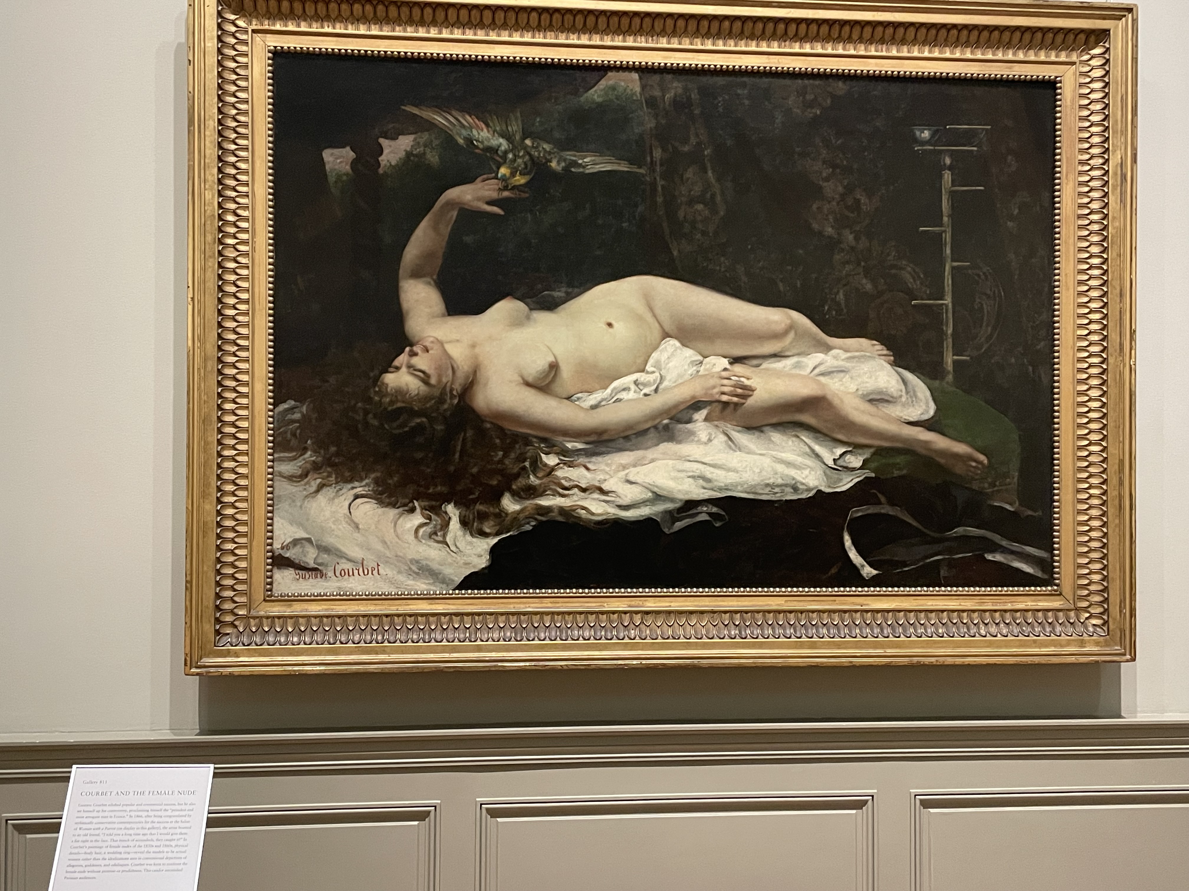 IMG_0121.jpeg