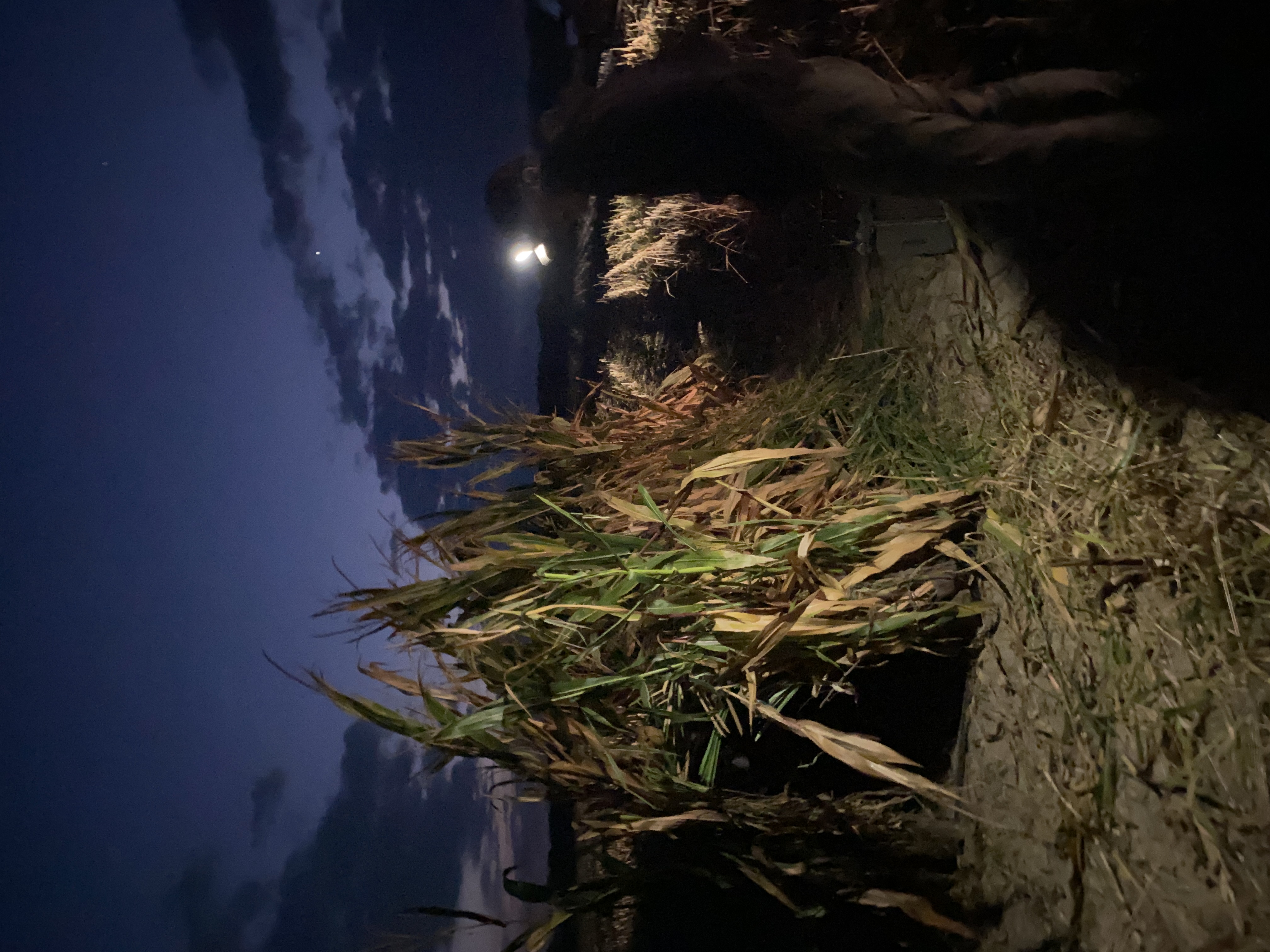 IMG_0312.jpeg