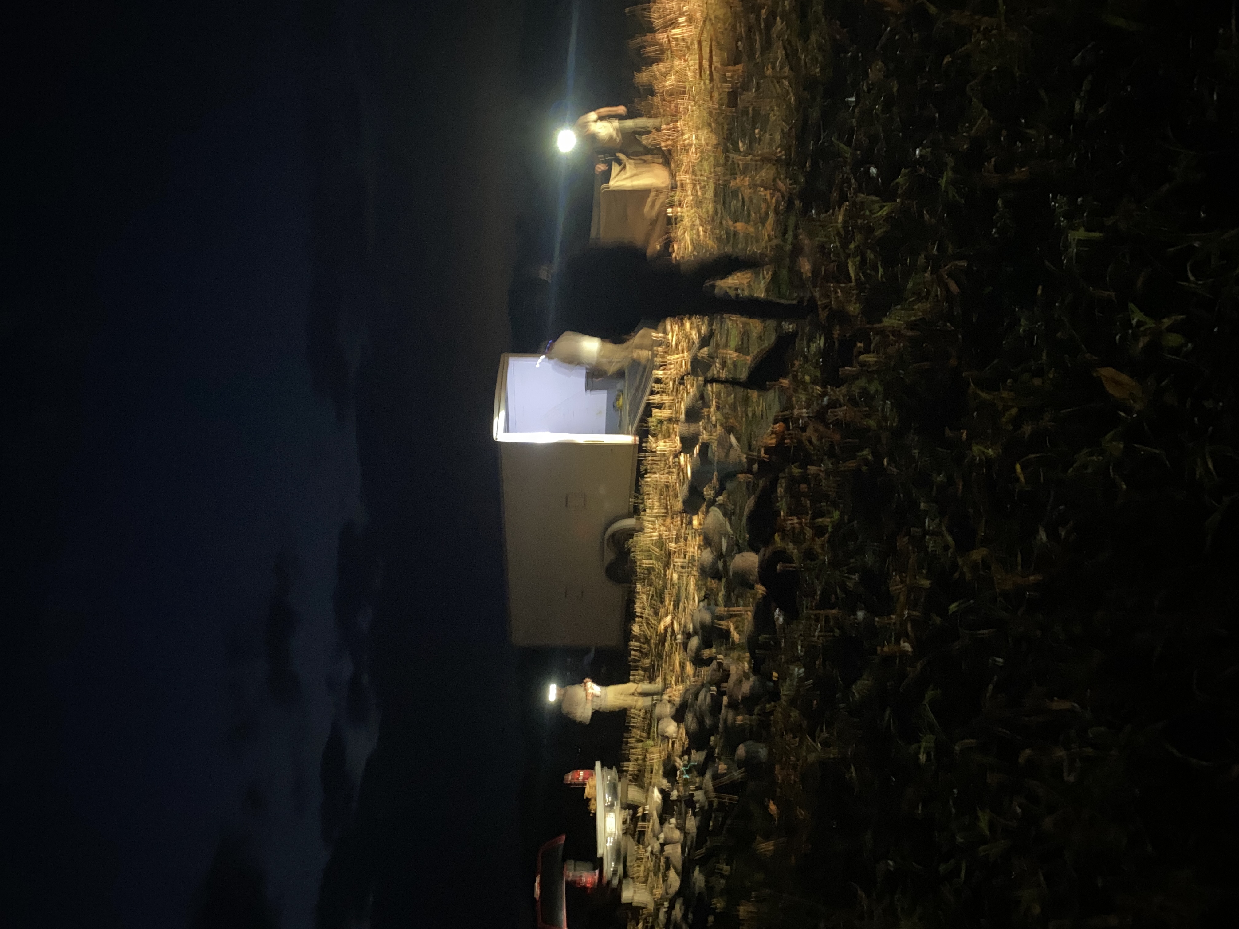 IMG_0313.jpeg