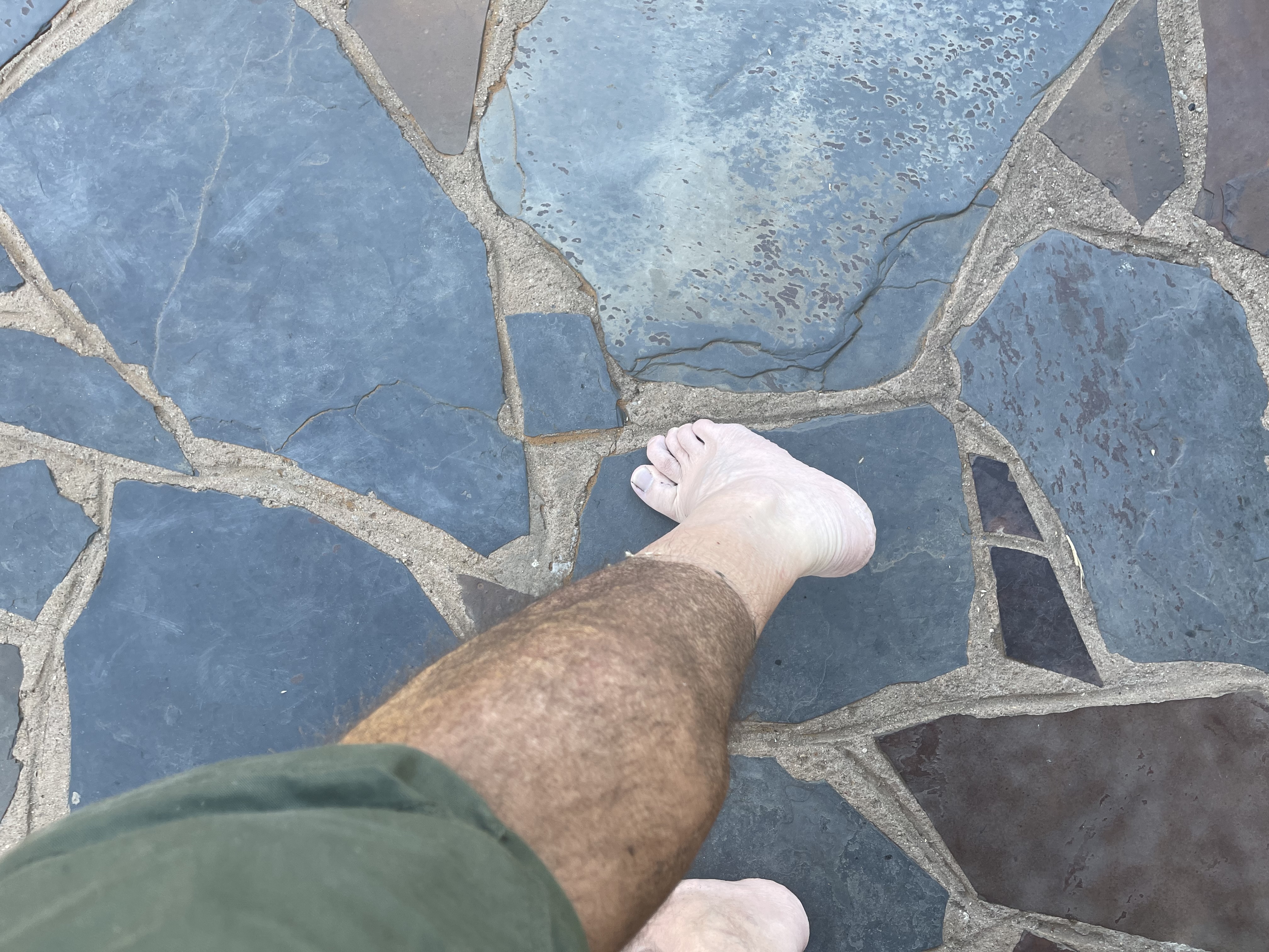 IMG_0342.jpeg