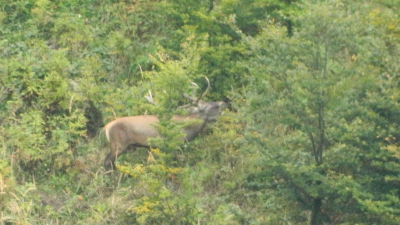 IMG_0395.jpeg