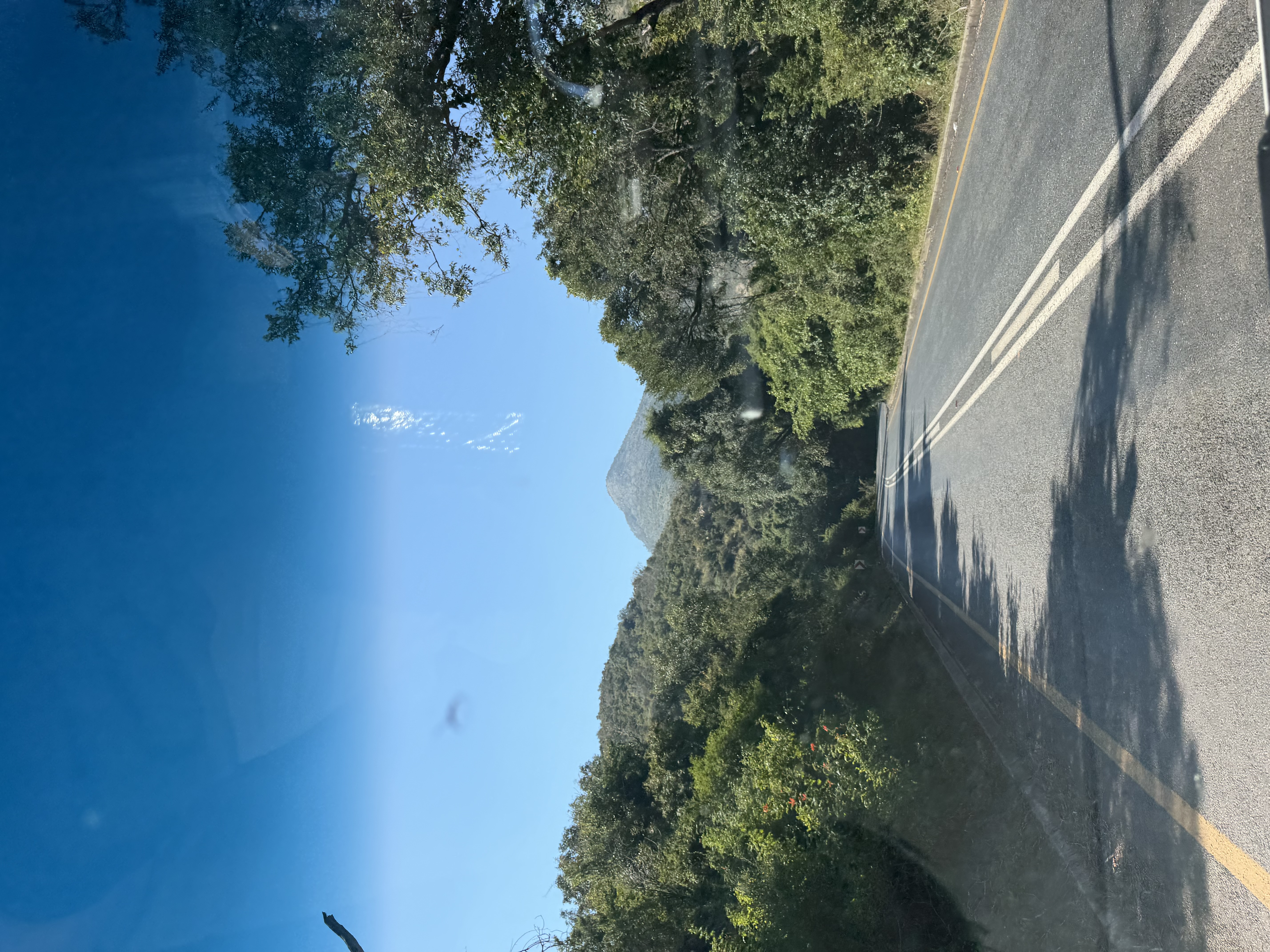IMG_0504.jpeg