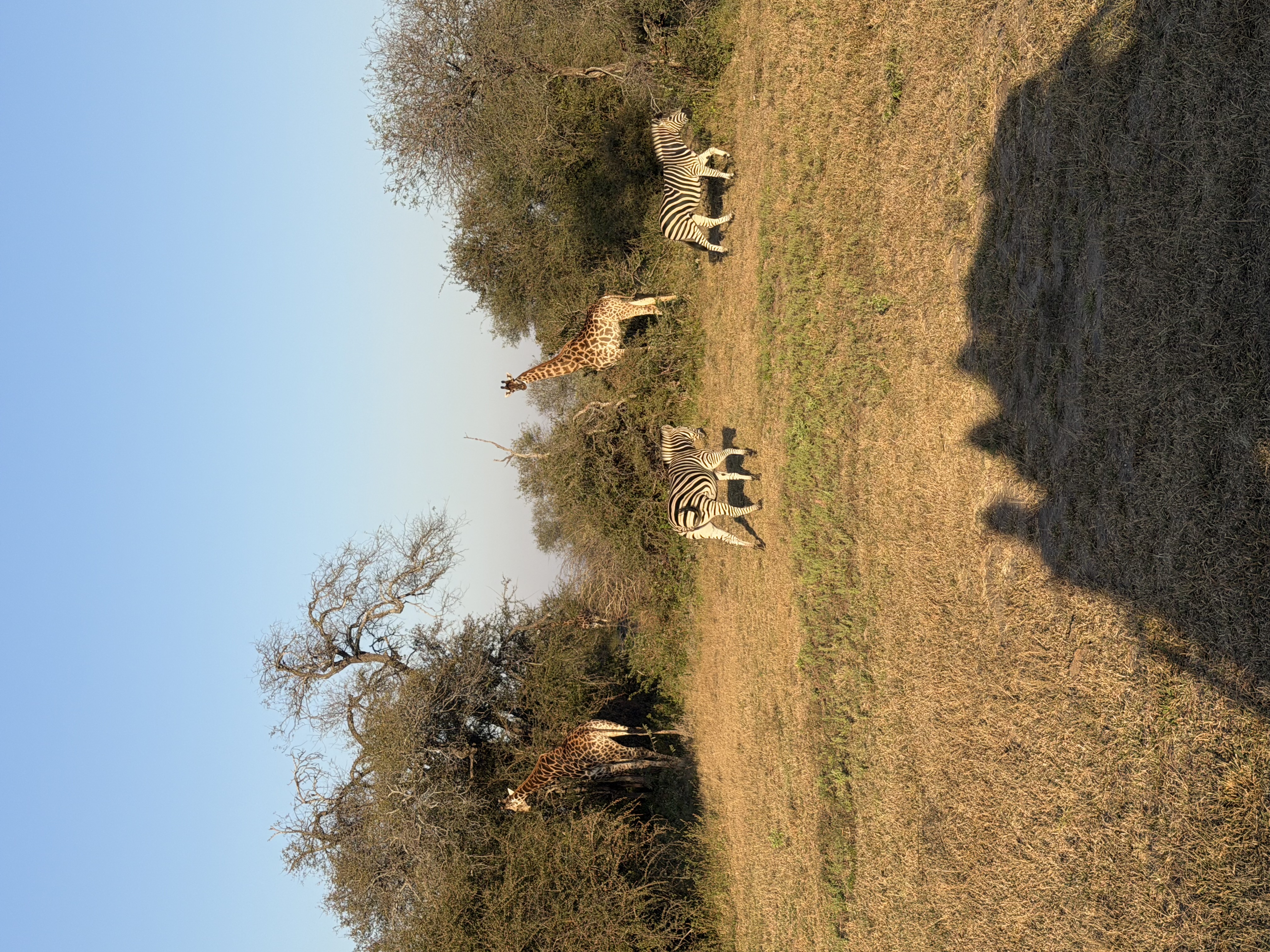 IMG_0548.jpeg