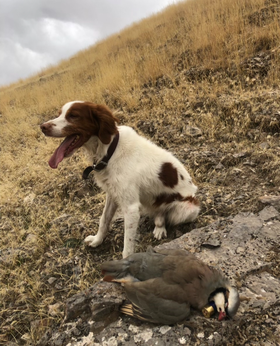 IMG_0607.jpeg