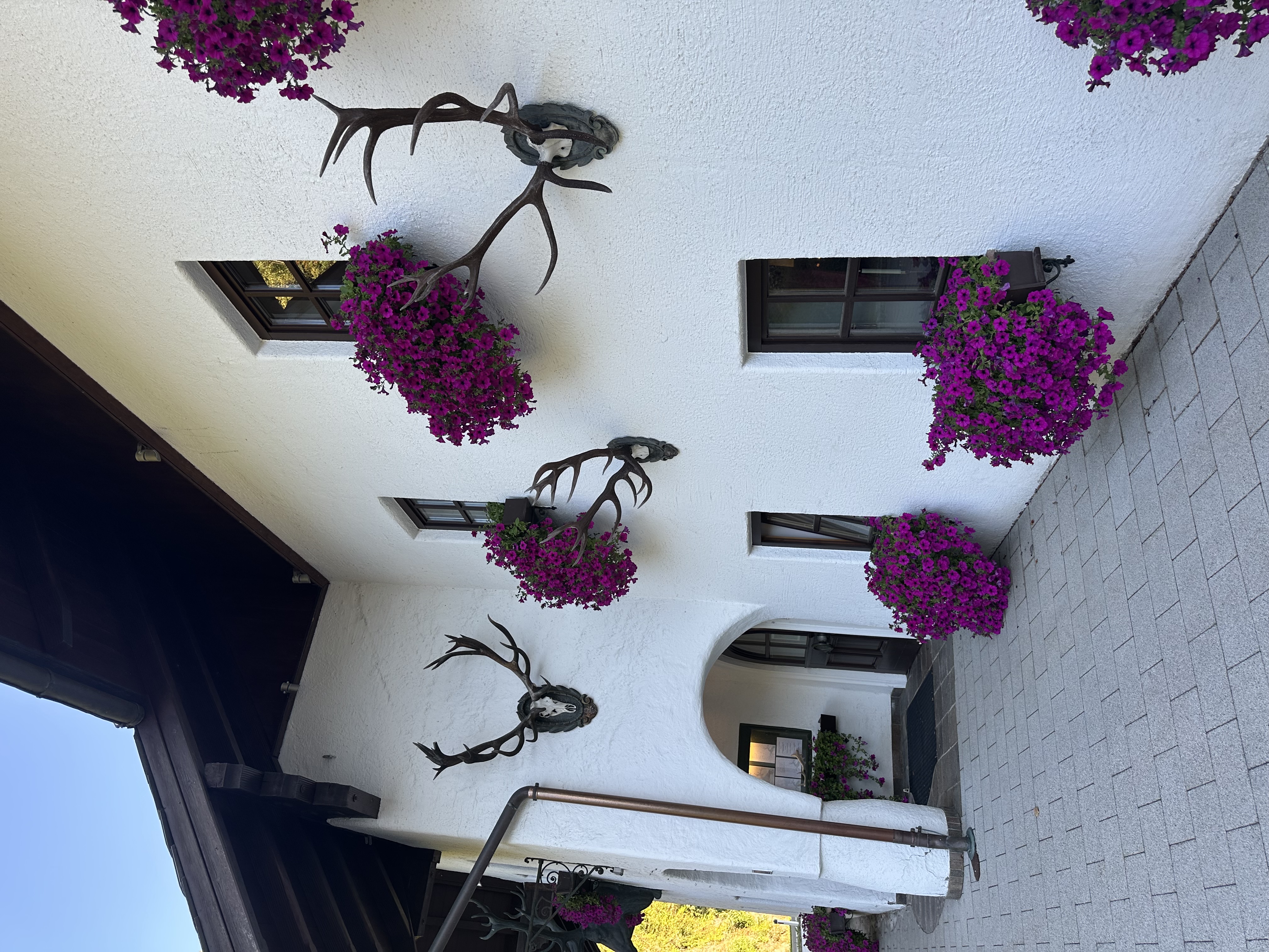 IMG_0646.jpeg