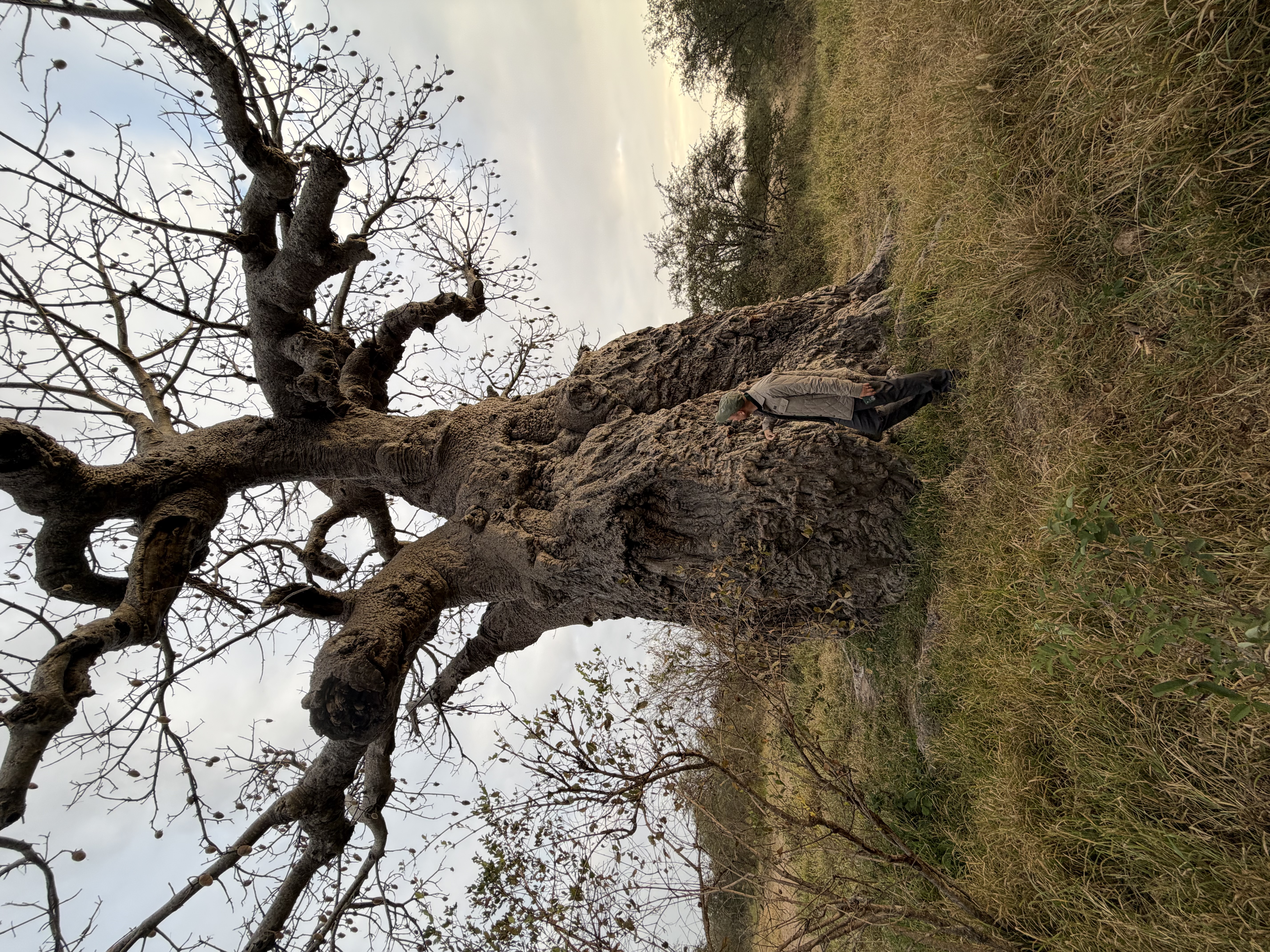 IMG_0656.jpeg