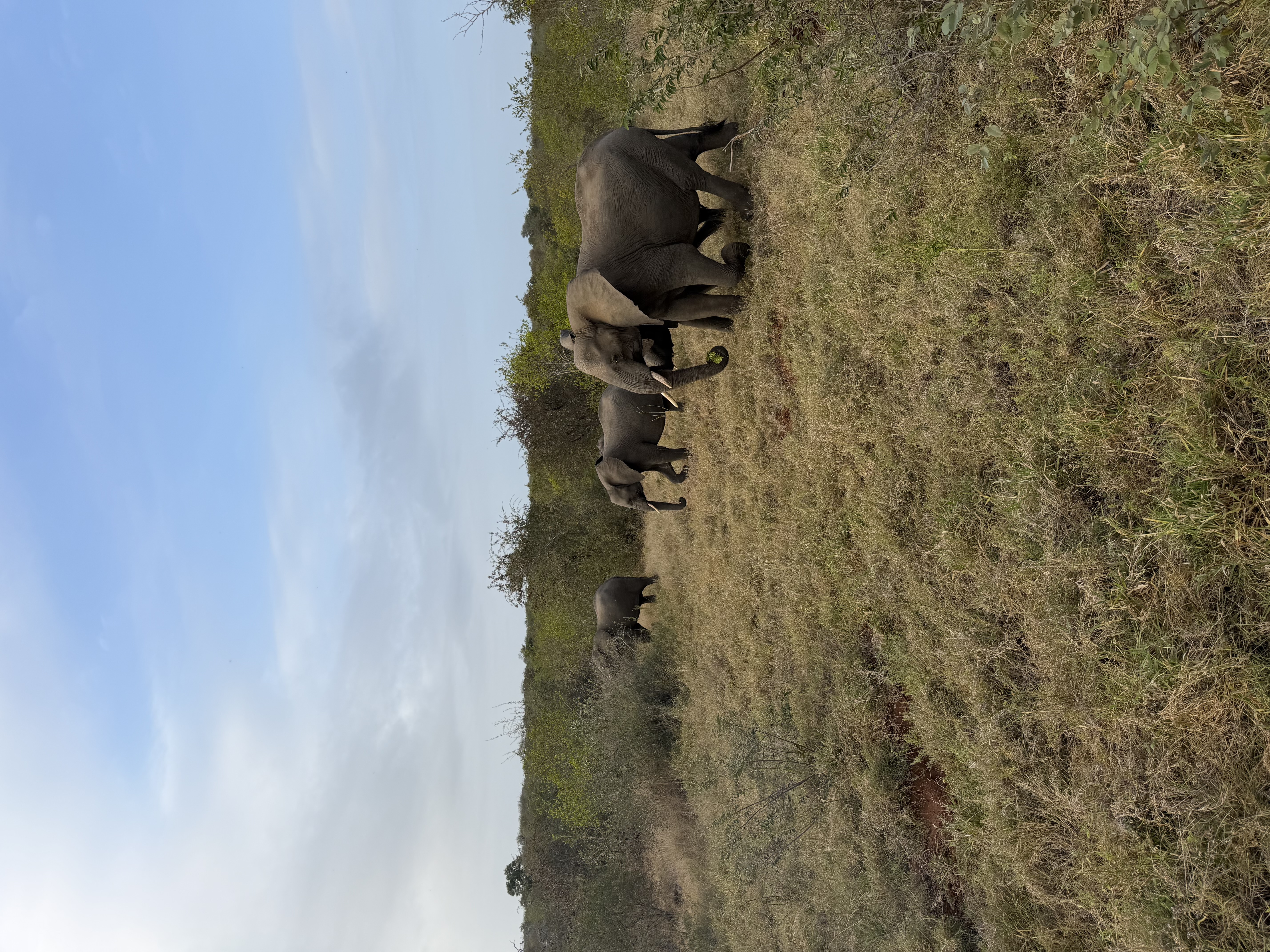 IMG_0660.jpeg