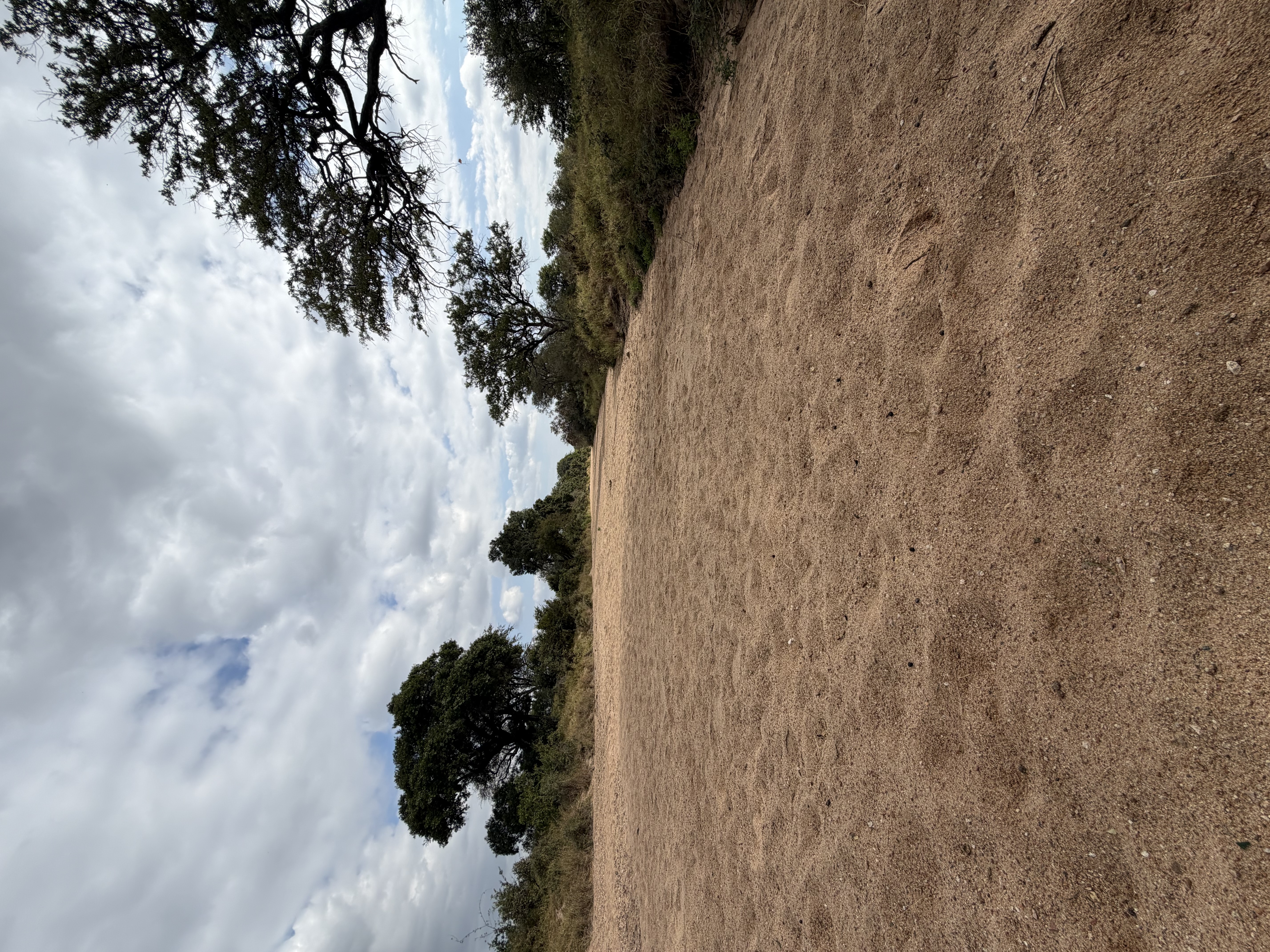 IMG_0672.jpeg