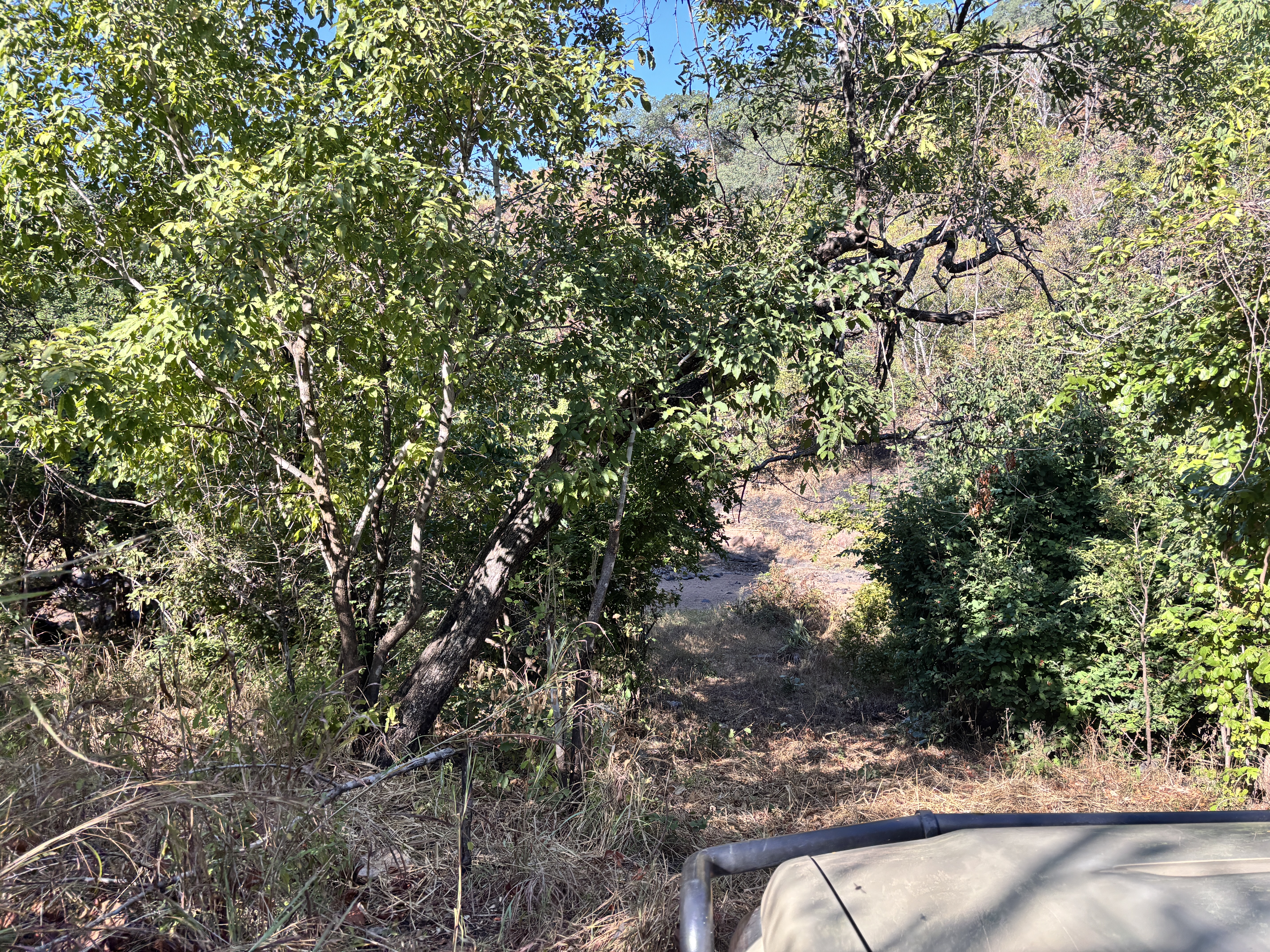 IMG_0692.jpeg