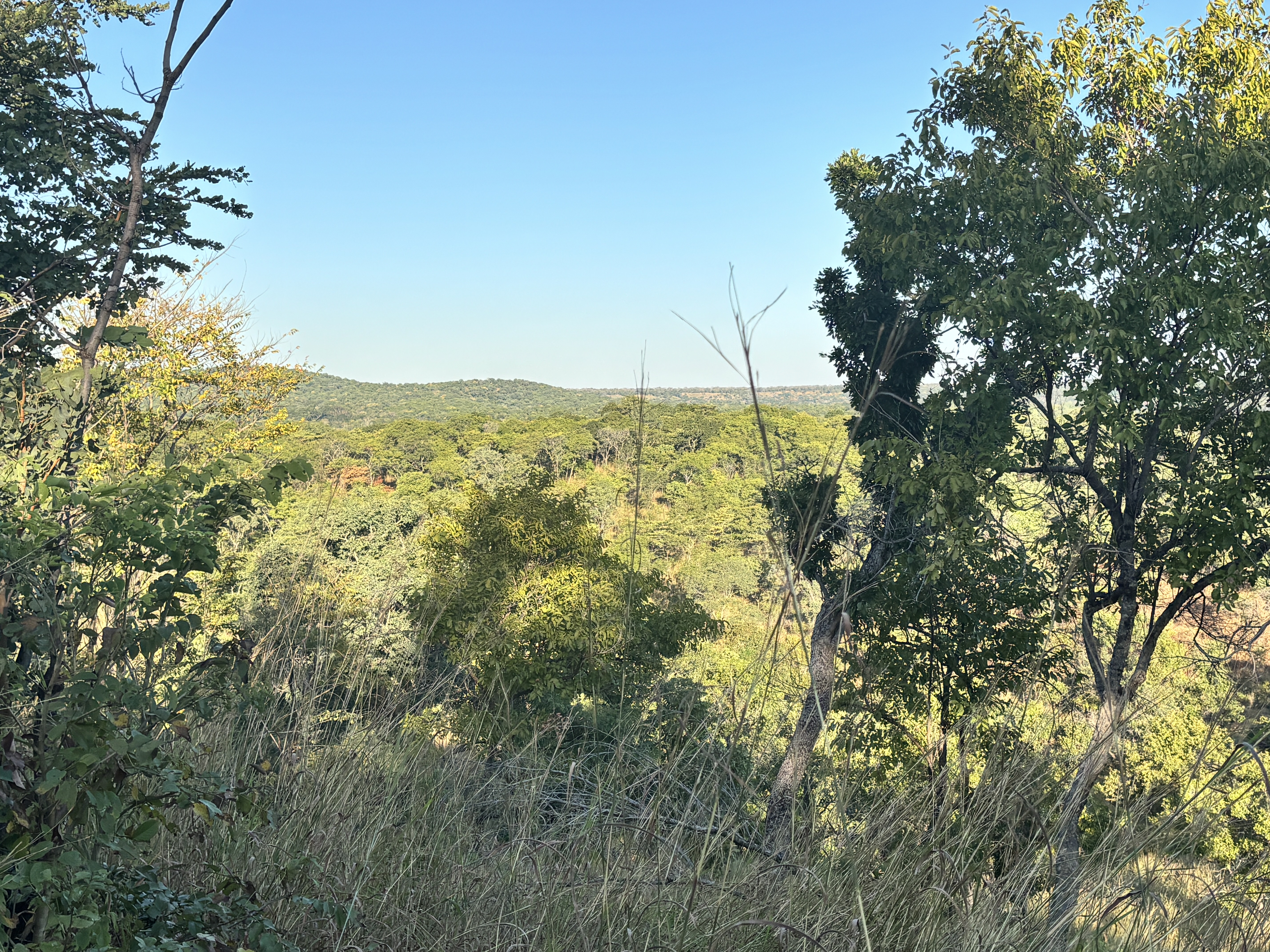 IMG_0707.jpeg