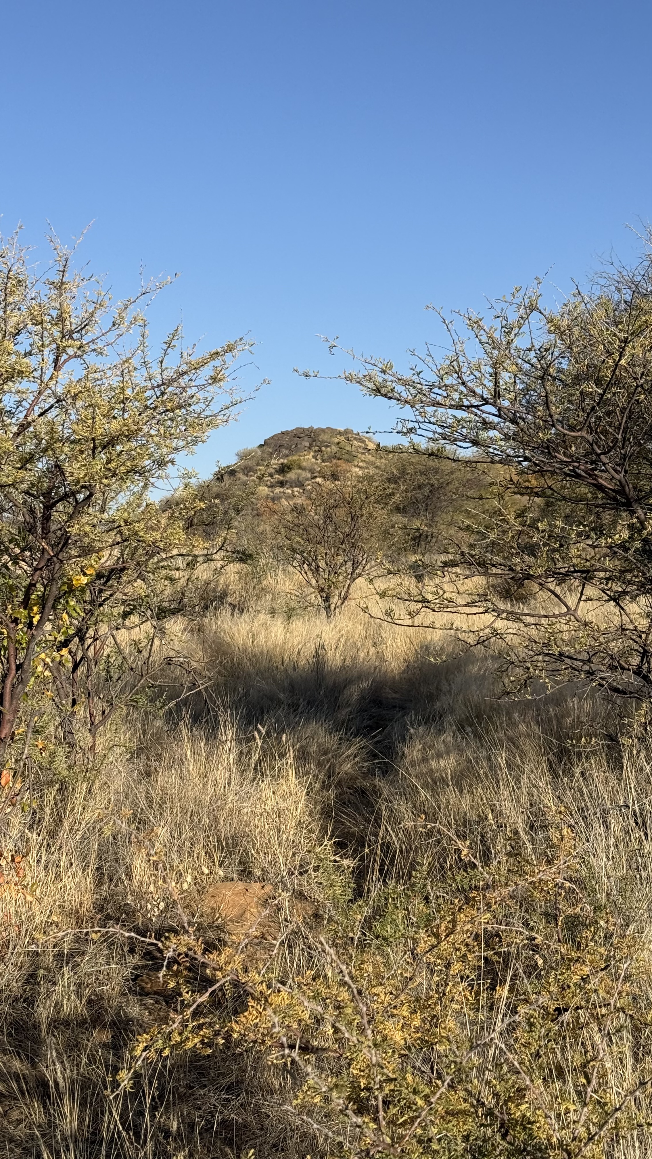 IMG_0718.jpeg