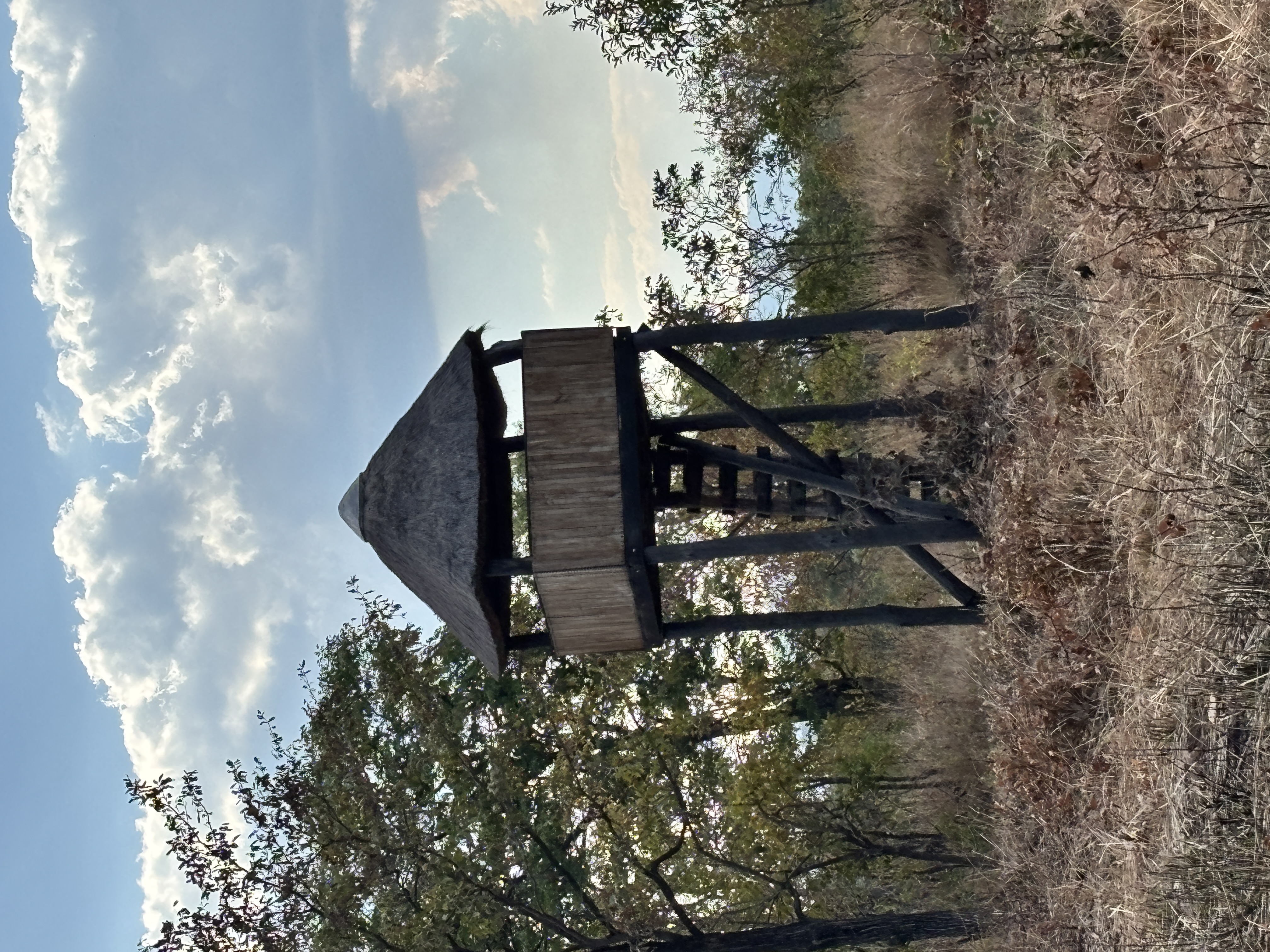 IMG_0723.jpeg