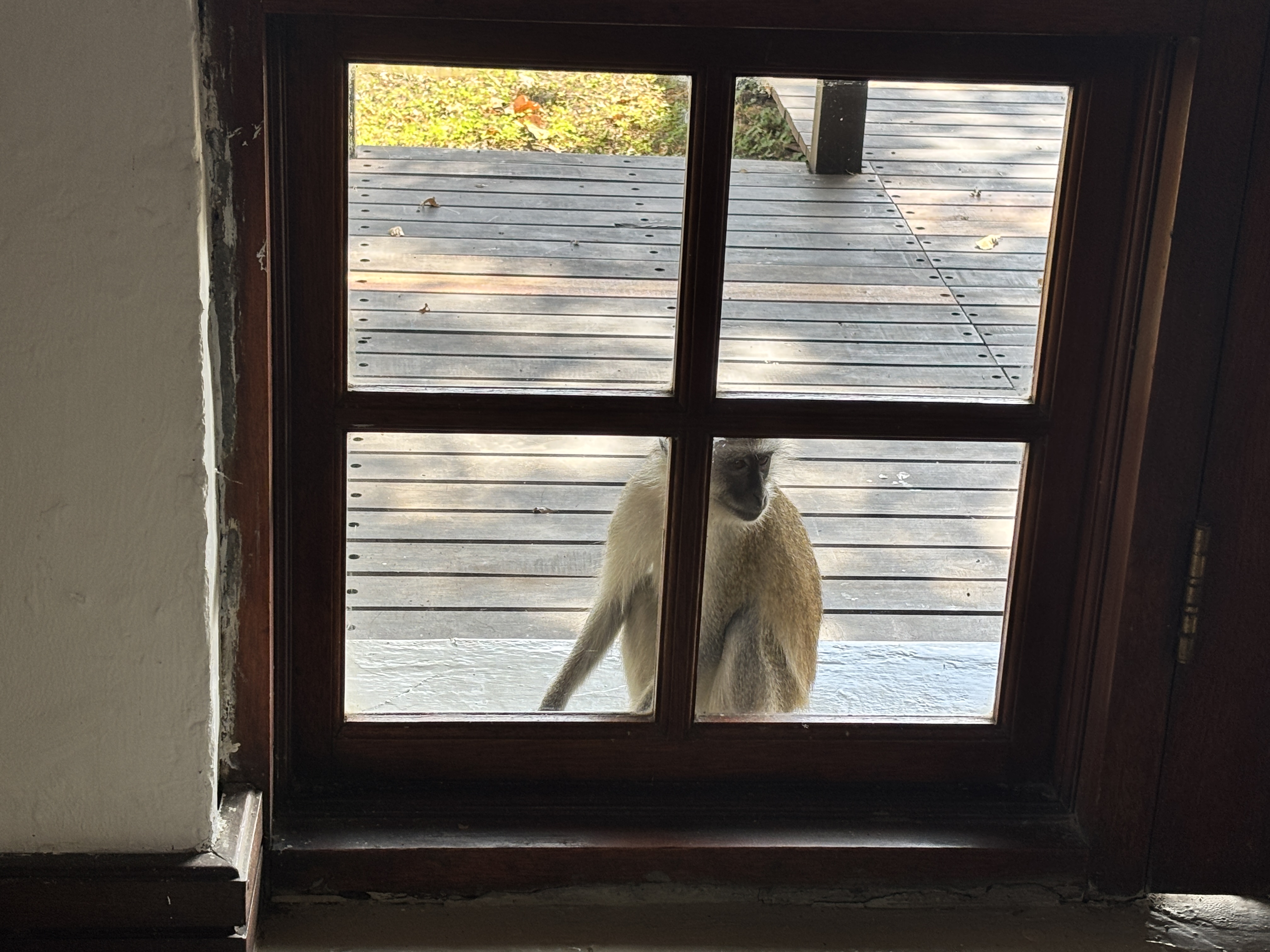IMG_0747.jpeg