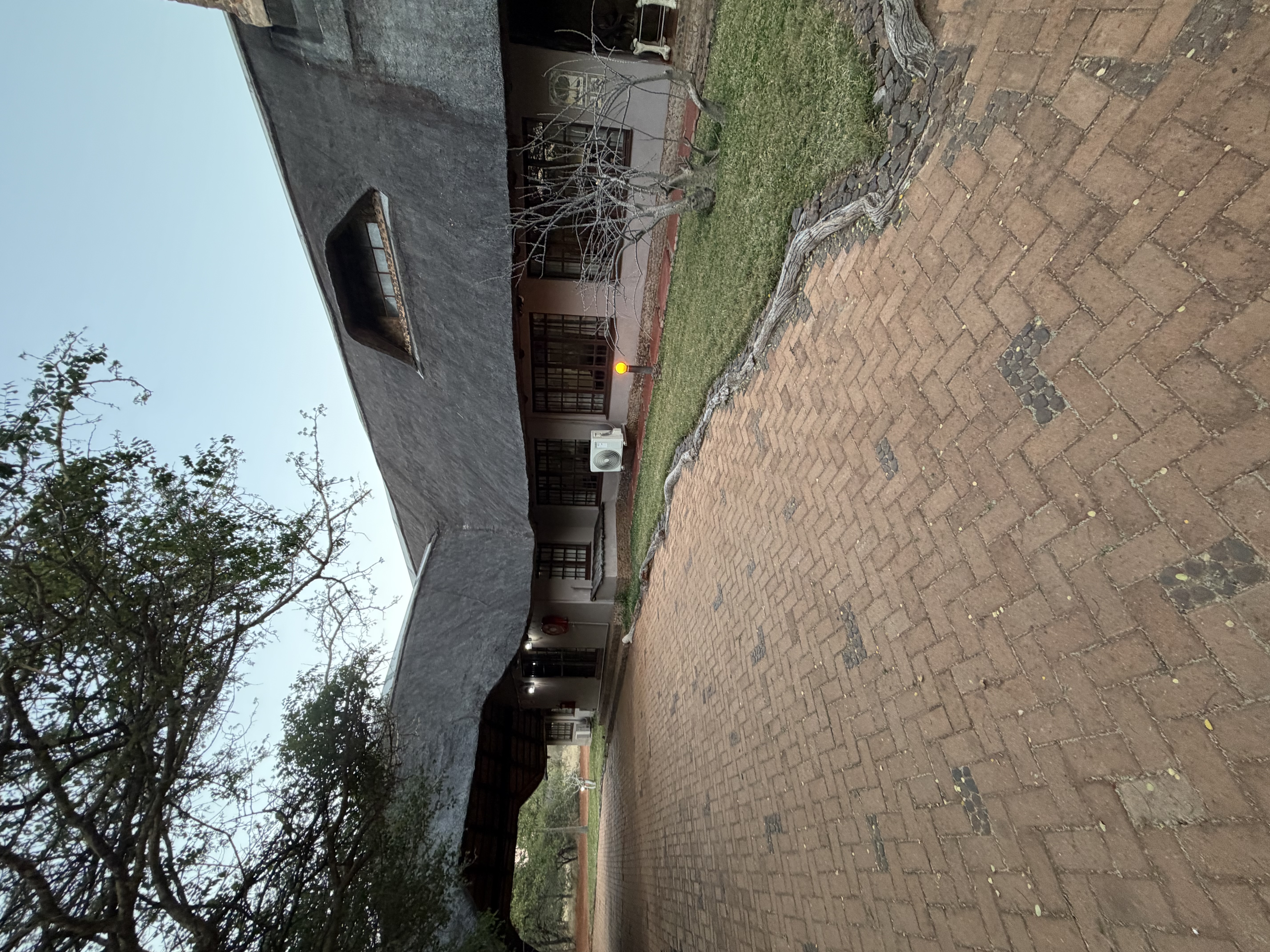 IMG_0938.jpeg