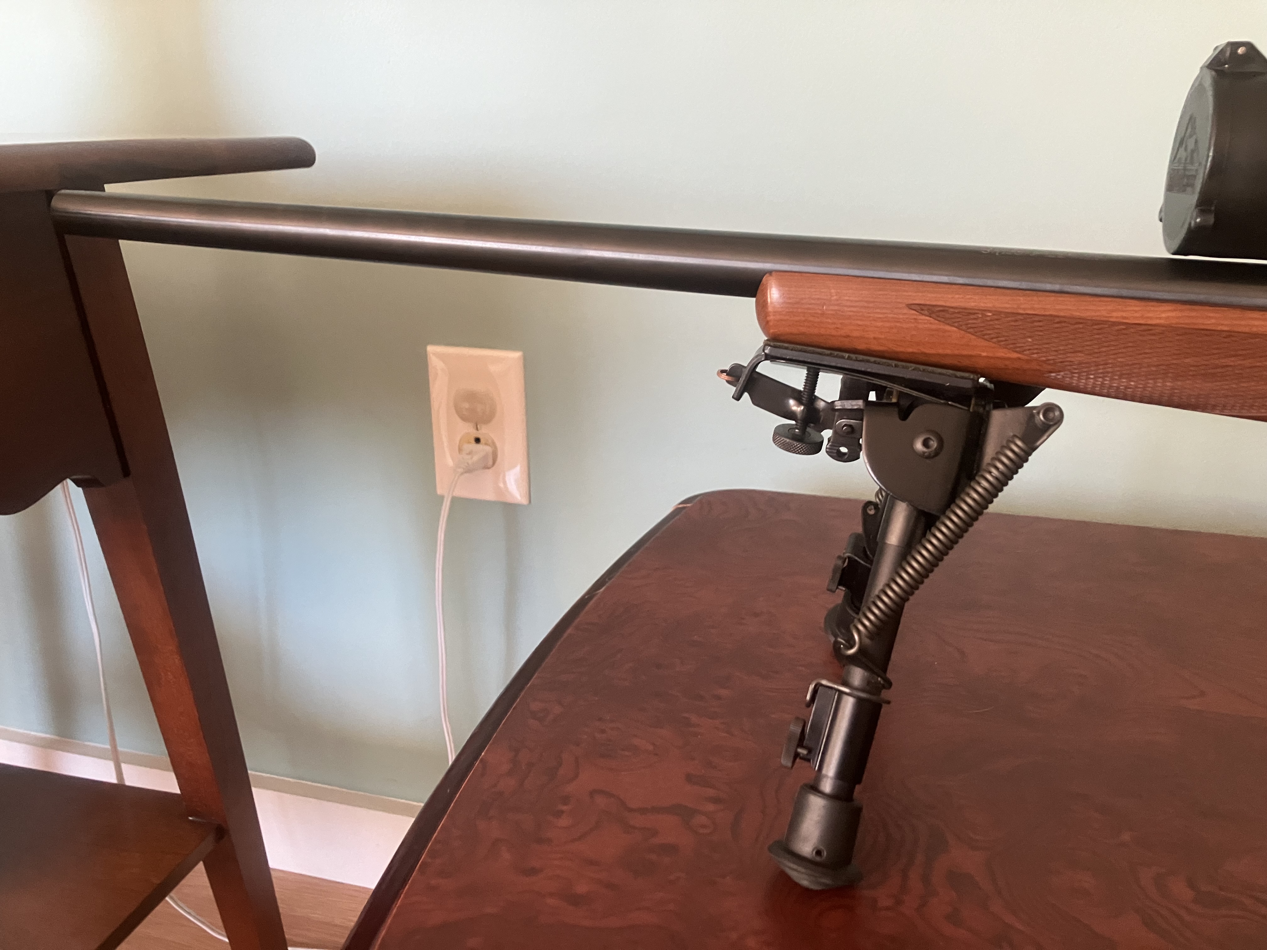 IMG_0944.jpeg IMG_0944.jpeg