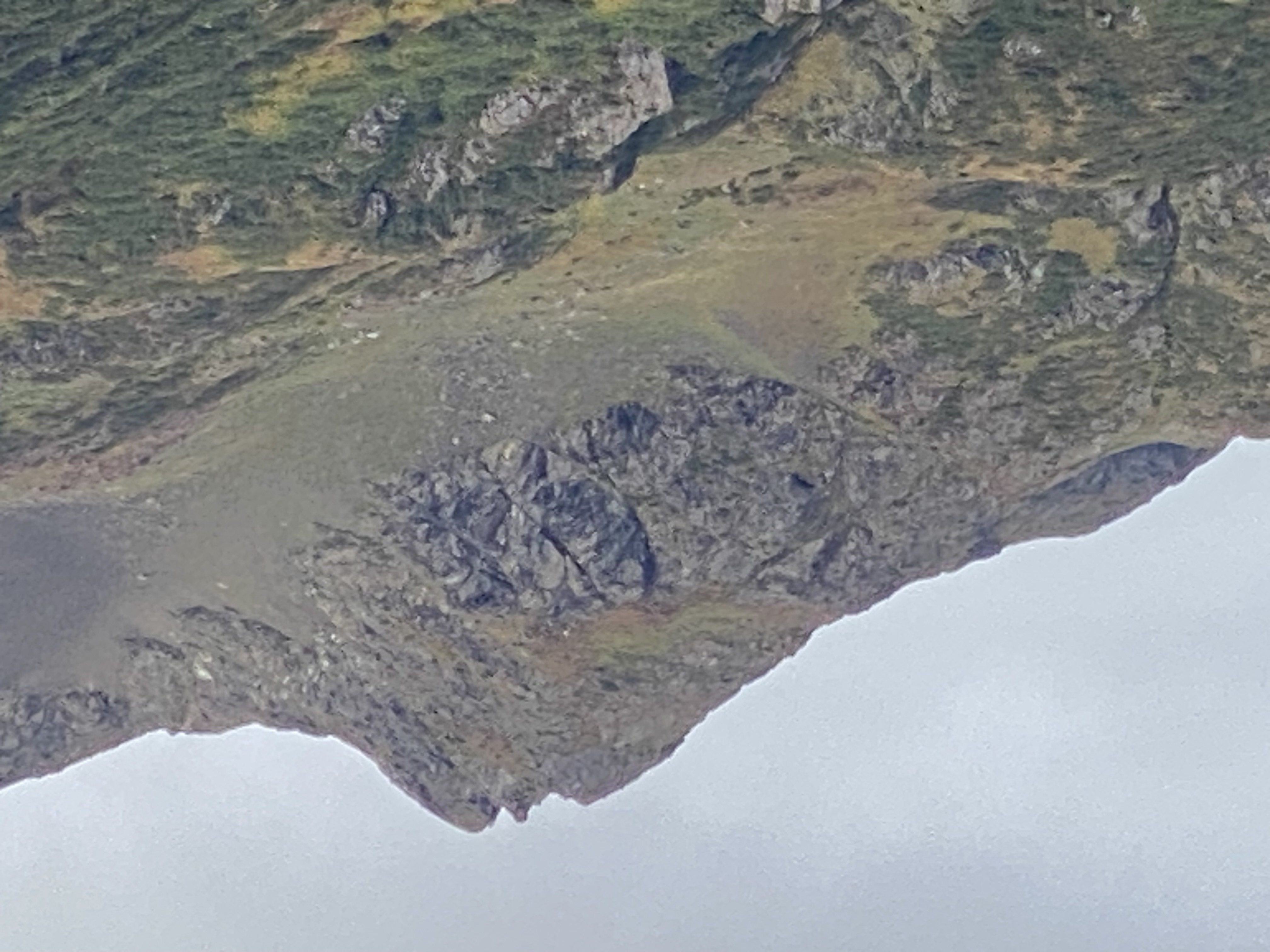 IMG_0961.jpeg