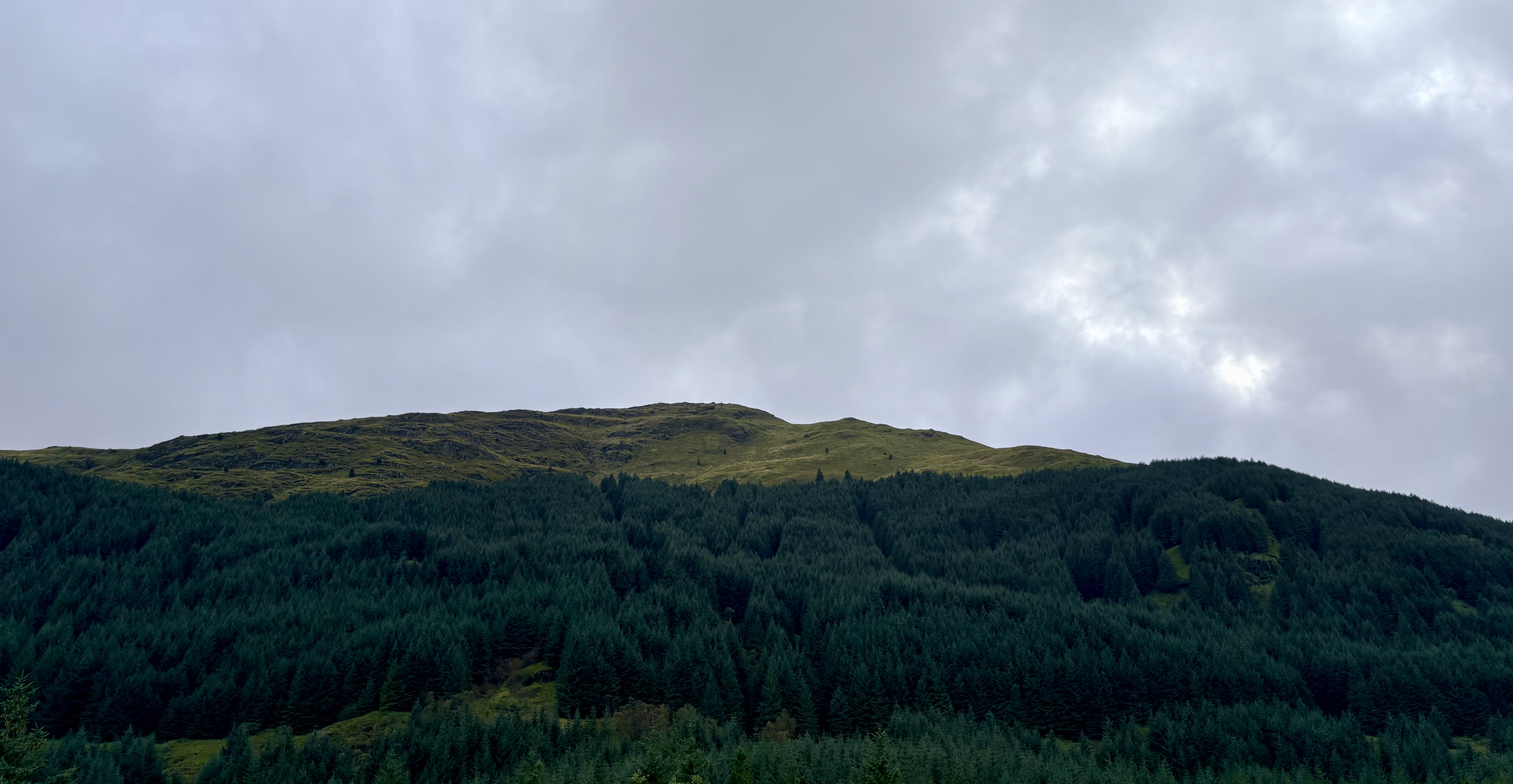 IMG_0999.jpeg