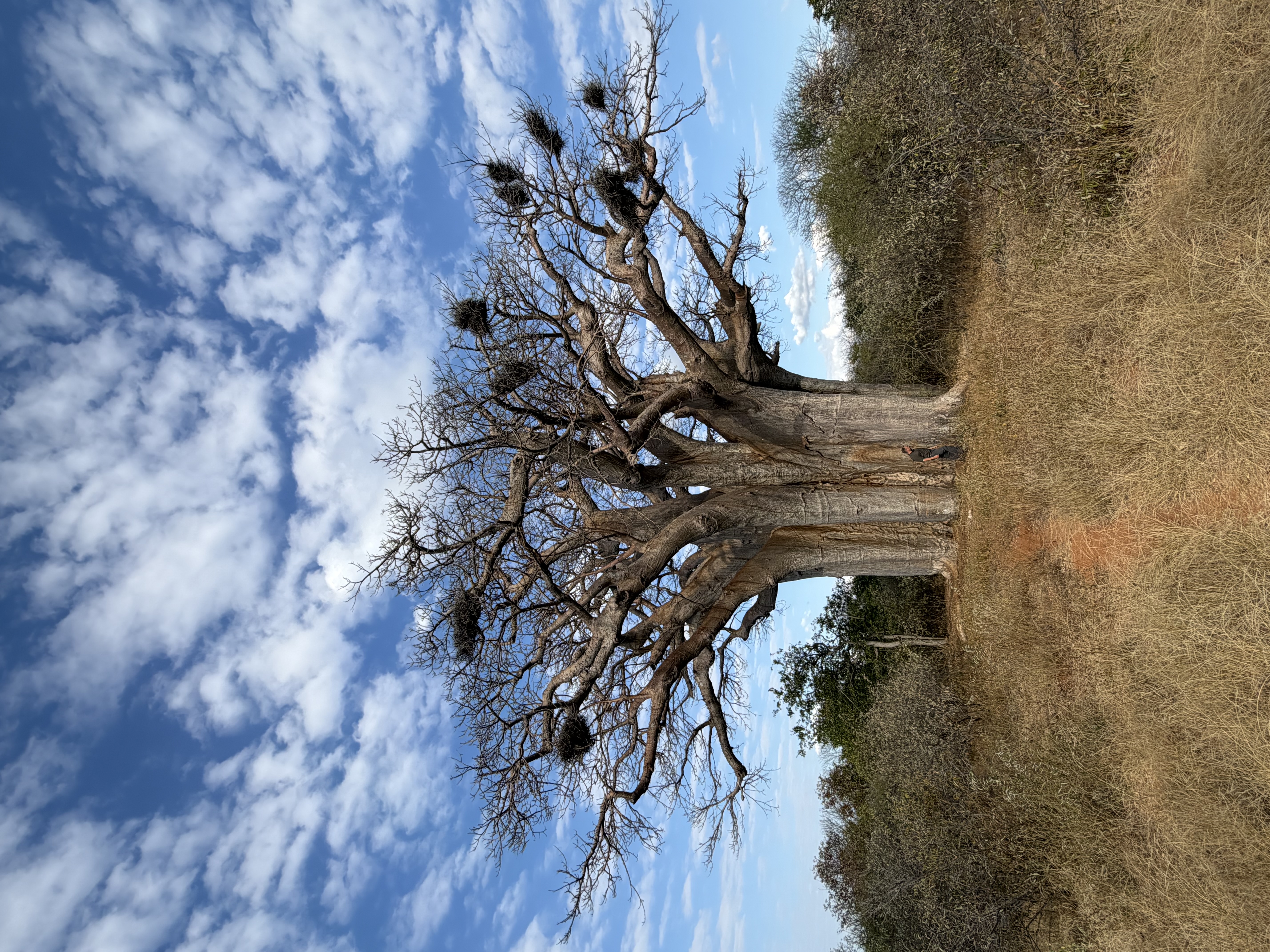 IMG_1061.jpeg