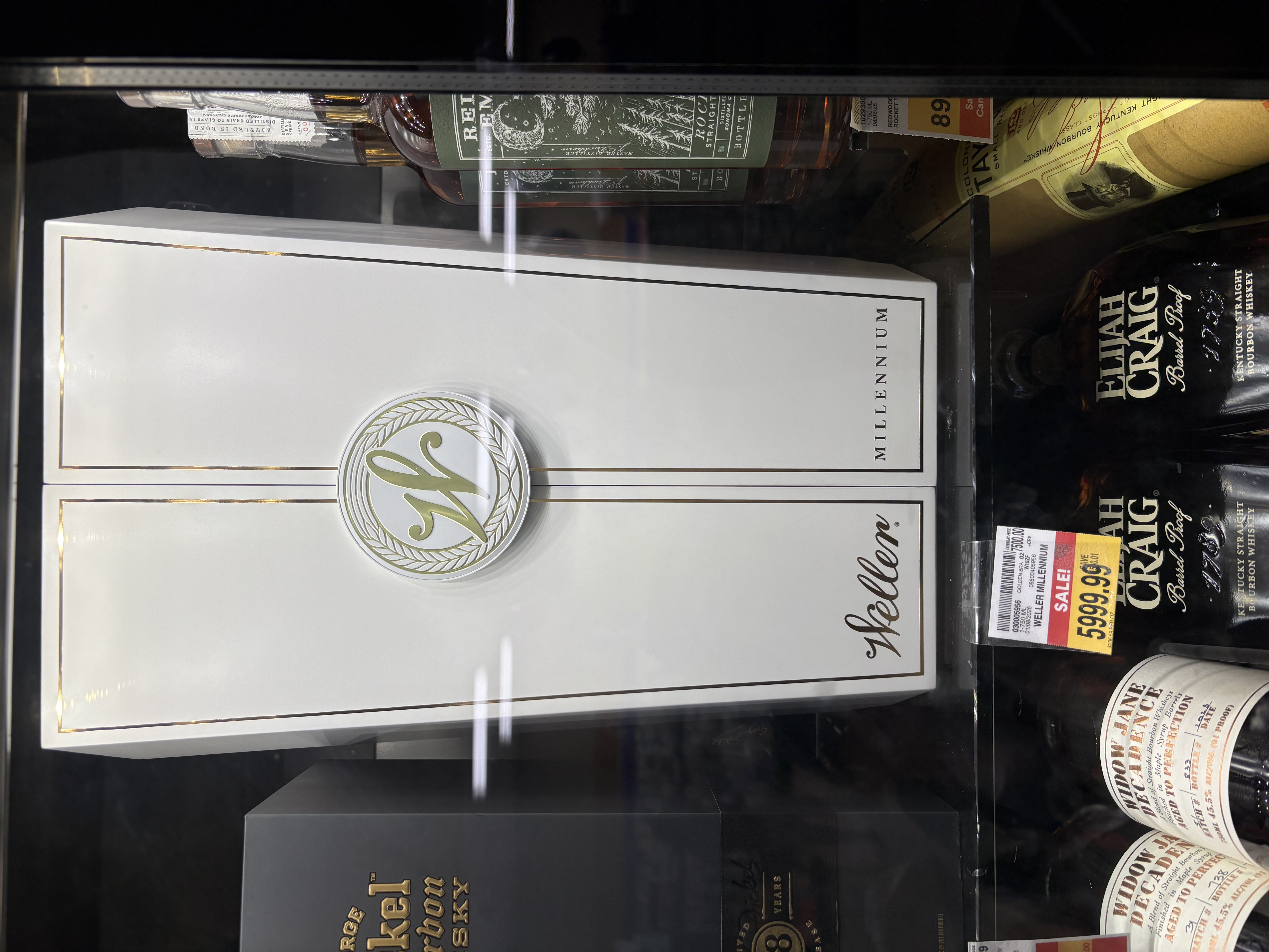IMG_1137.jpeg