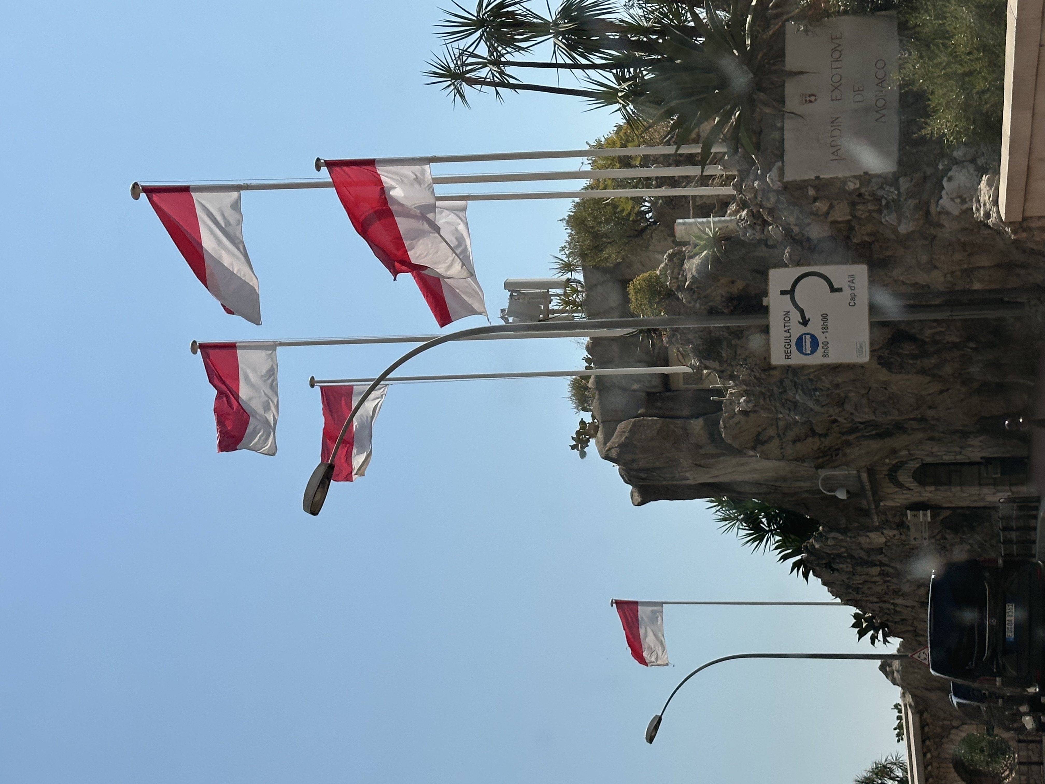 IMG_1205.jpeg