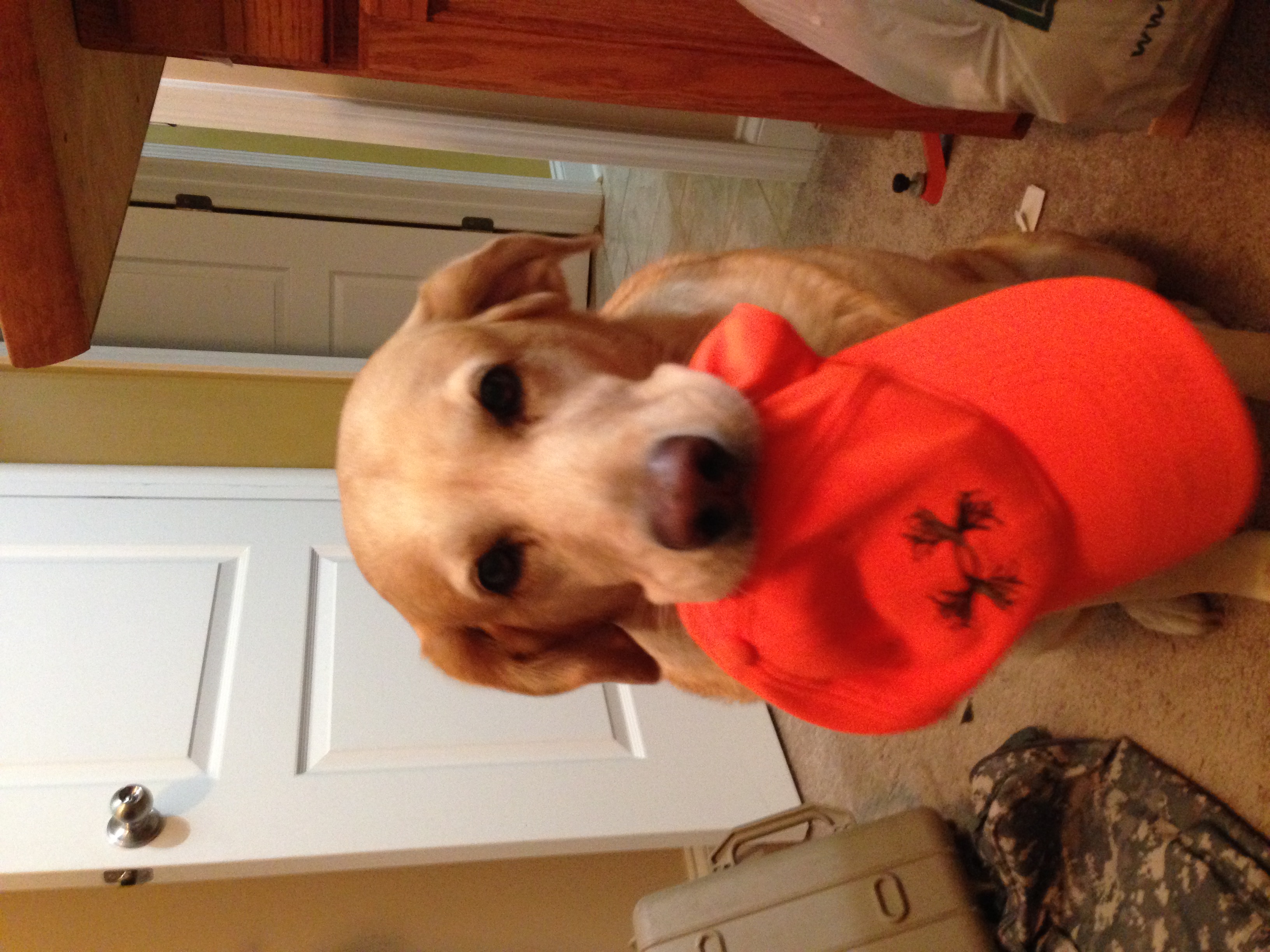 IMG_1287.jpeg
