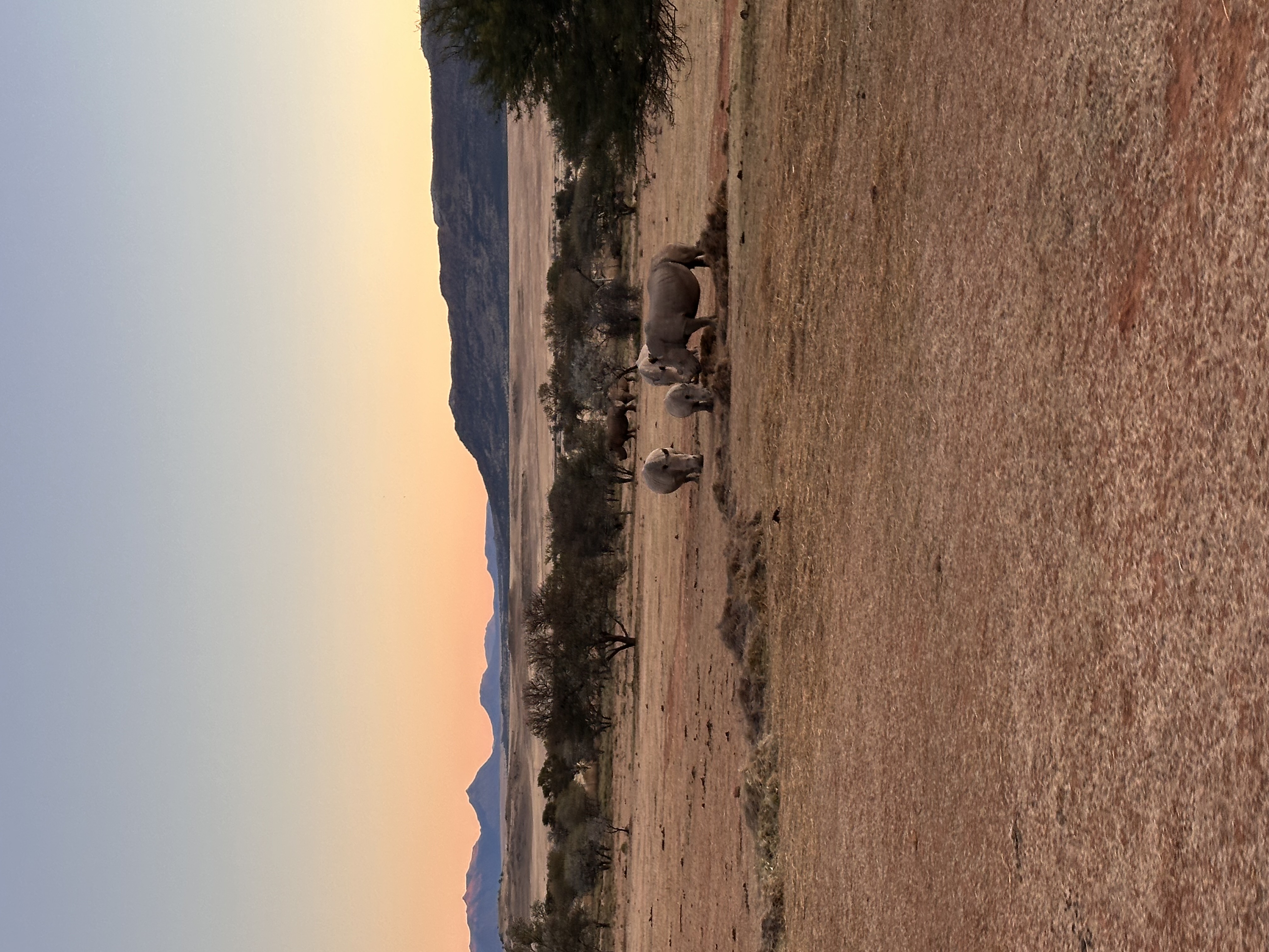 IMG_1300.jpeg