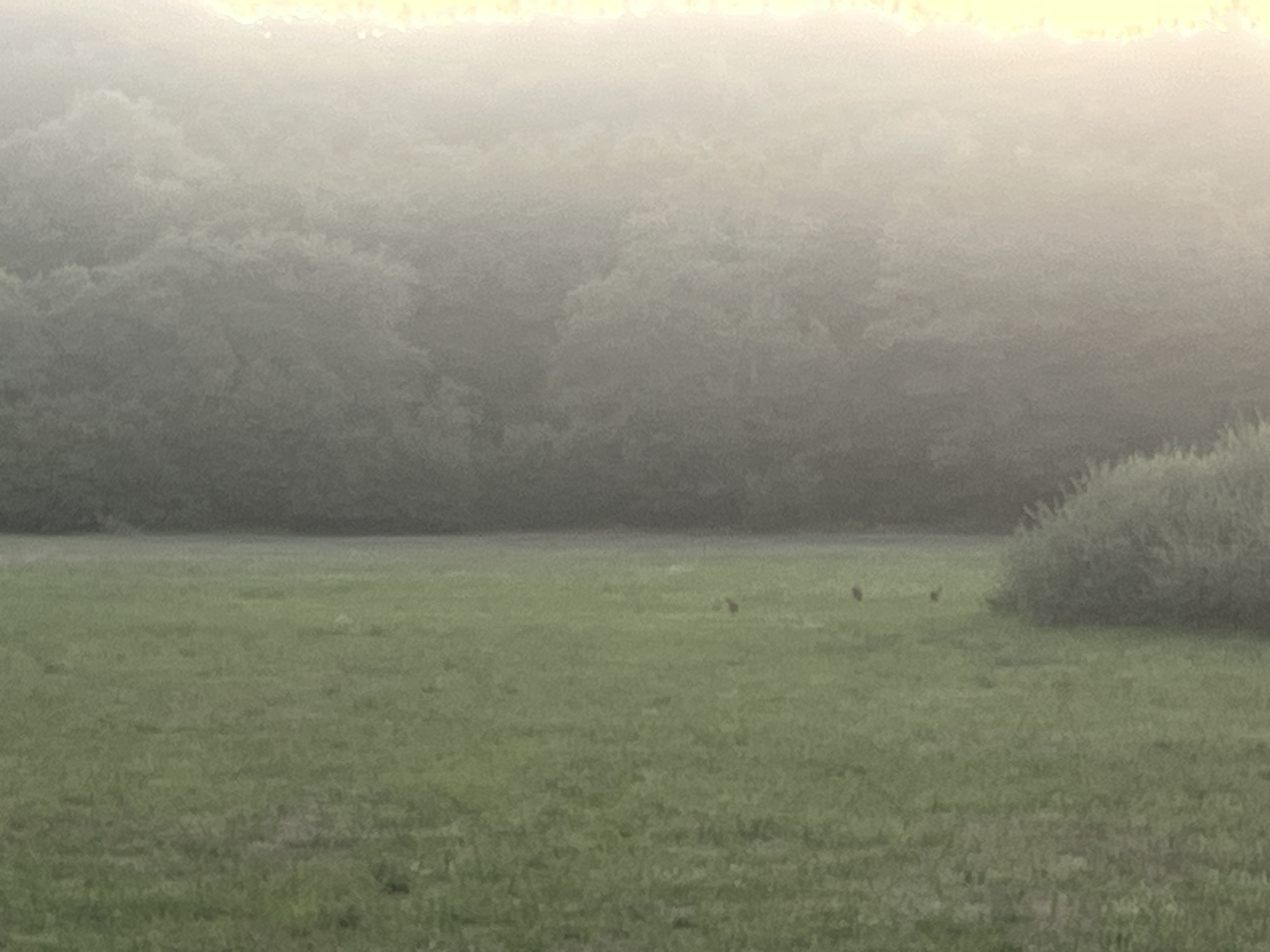 IMG_1506.jpeg