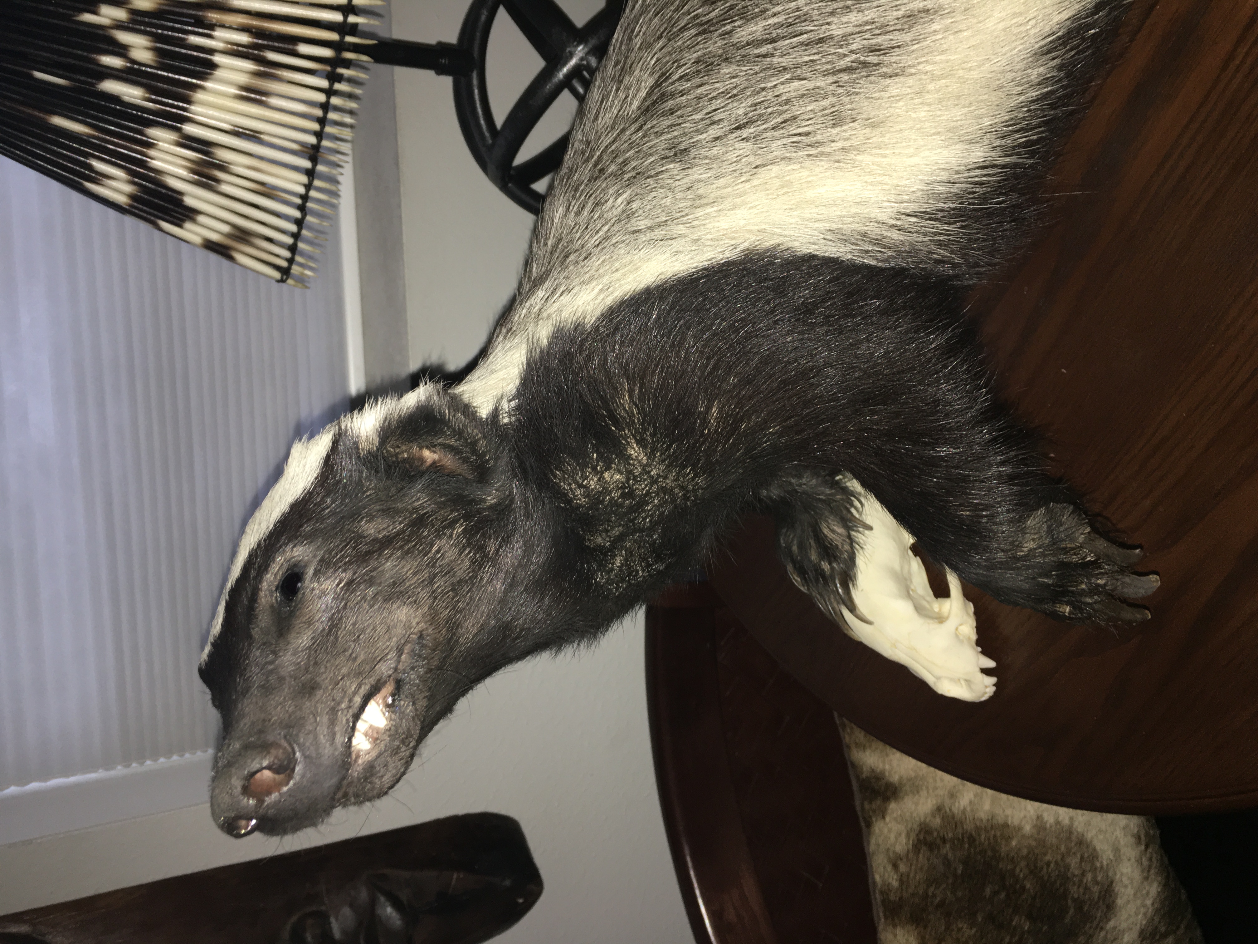 IMG_1728.jpeg