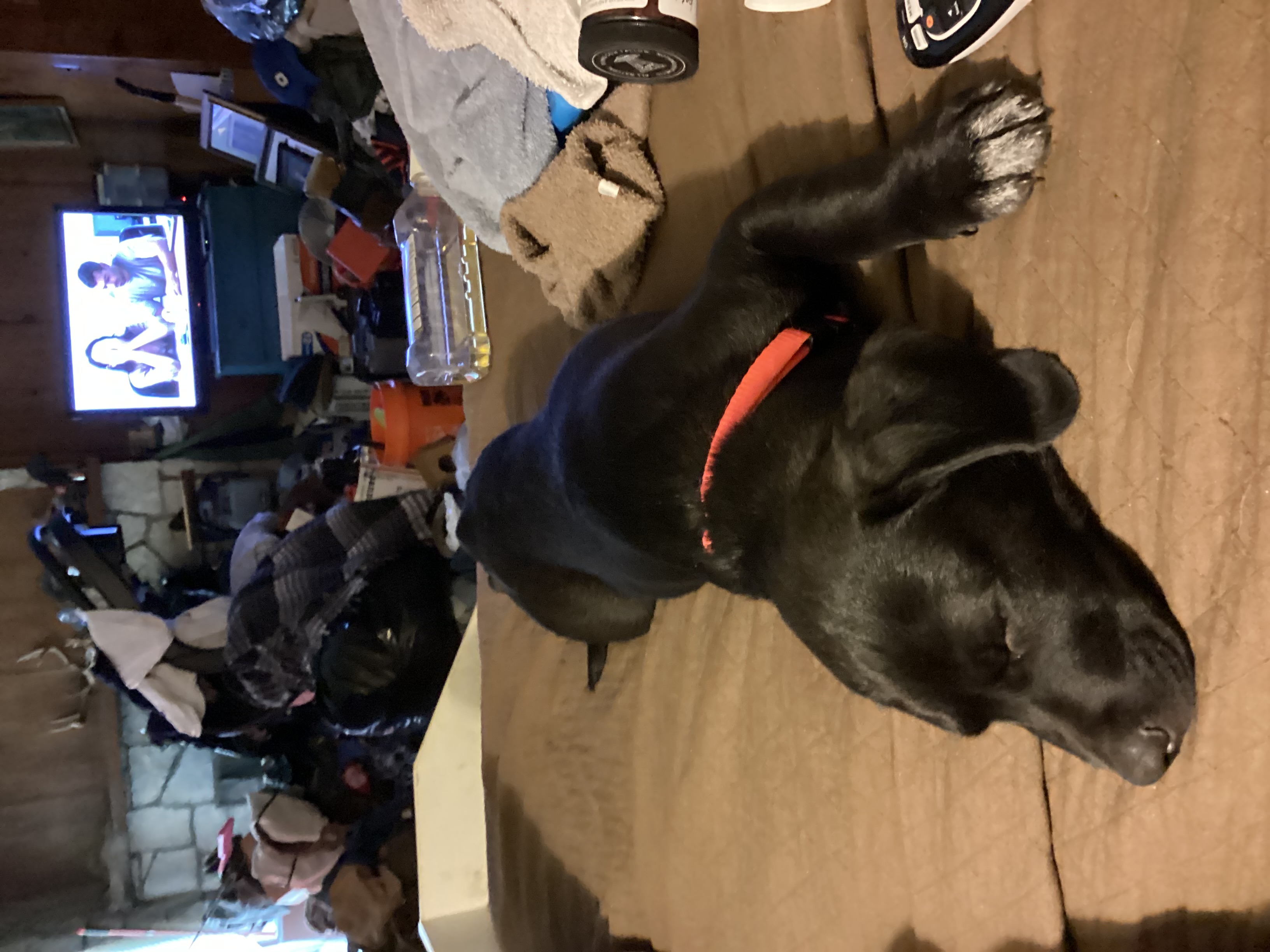 IMG_1762.jpeg