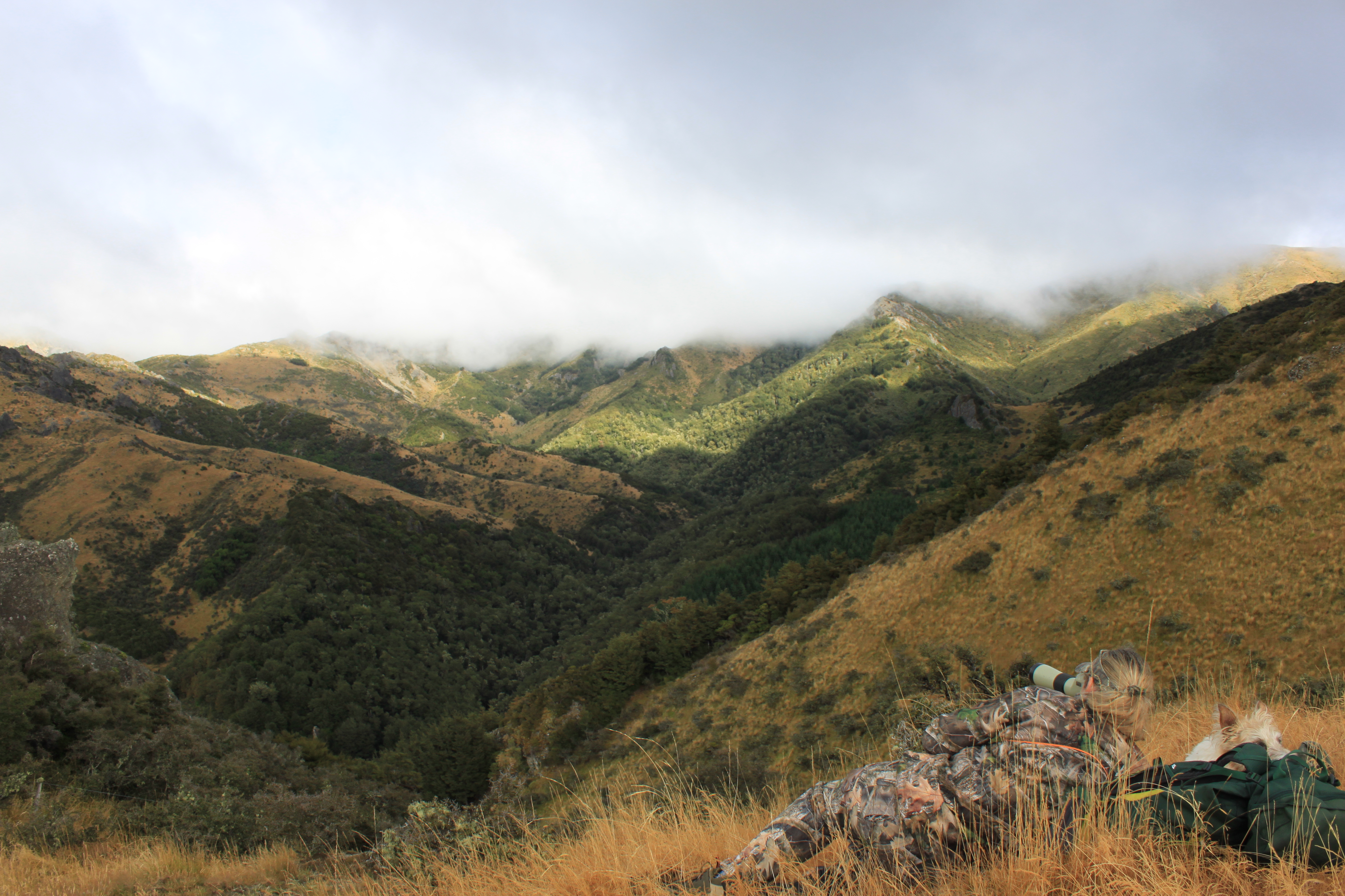 IMG_1787.JPG IMG_1787.JPG